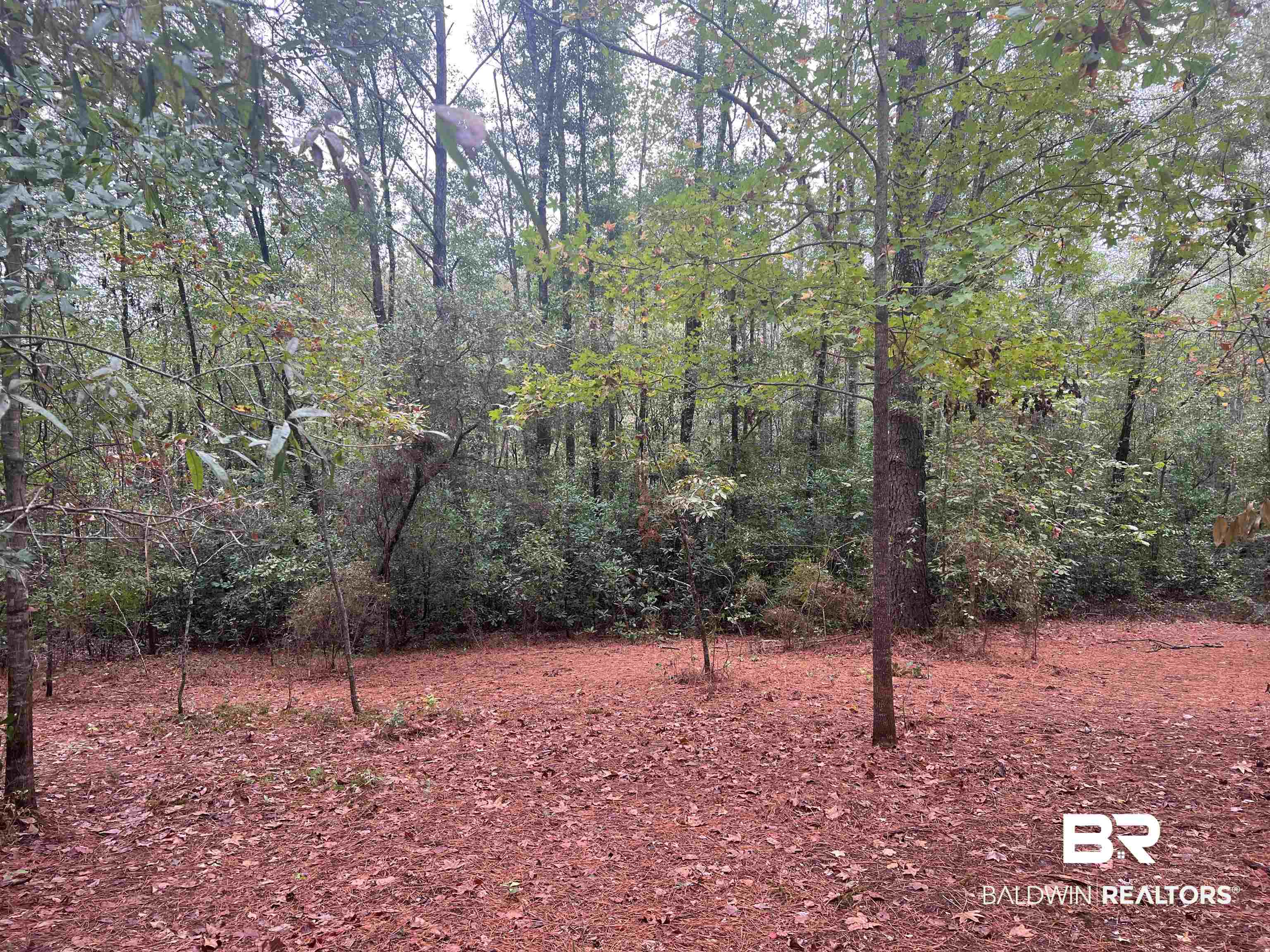 533 Green Acres Road