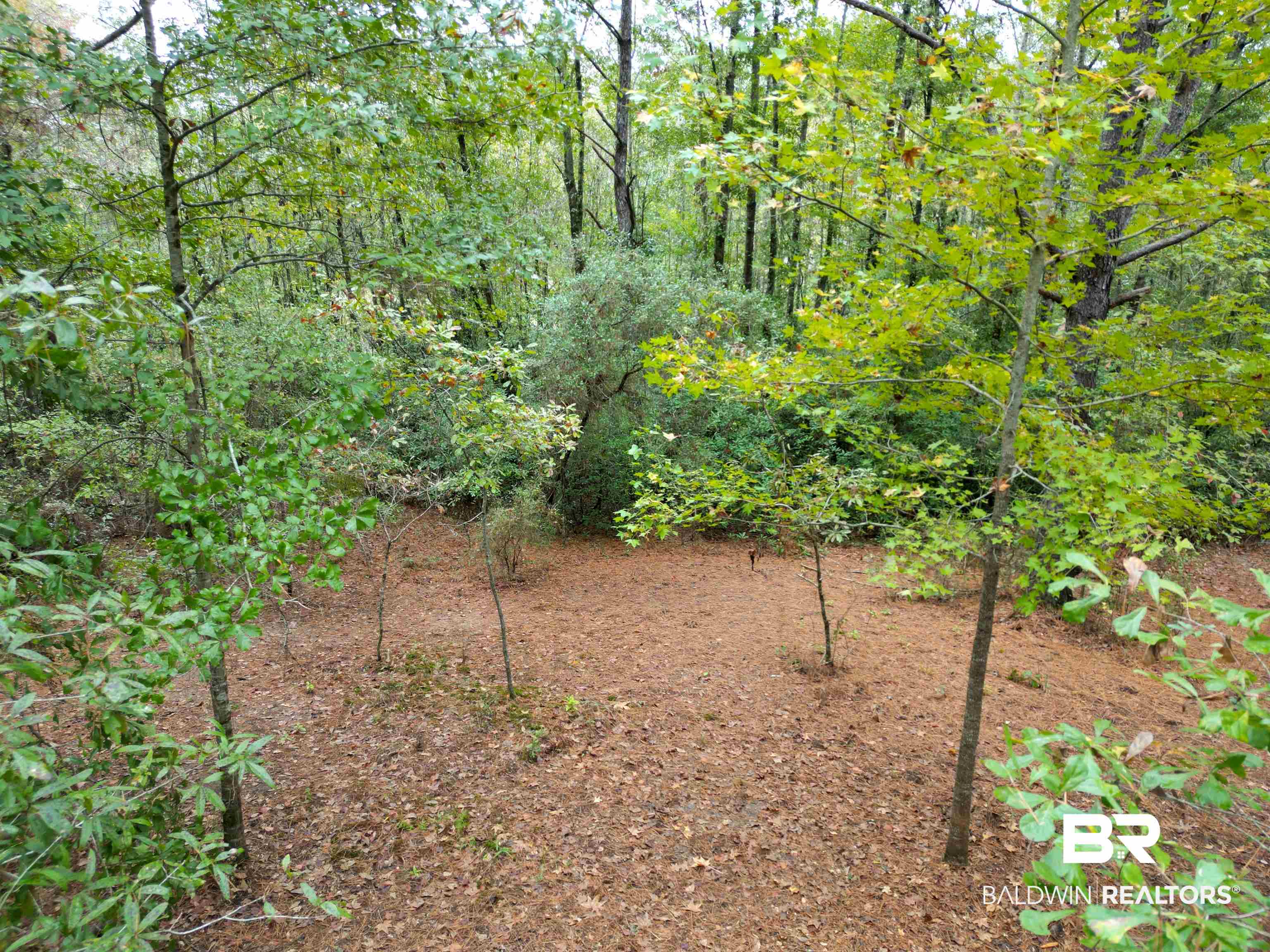 533 Green Acres Road