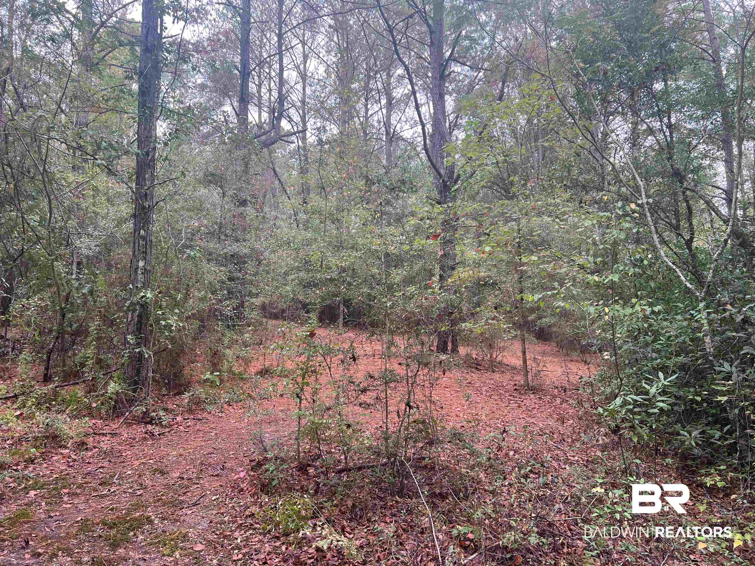 533 Green Acres Road