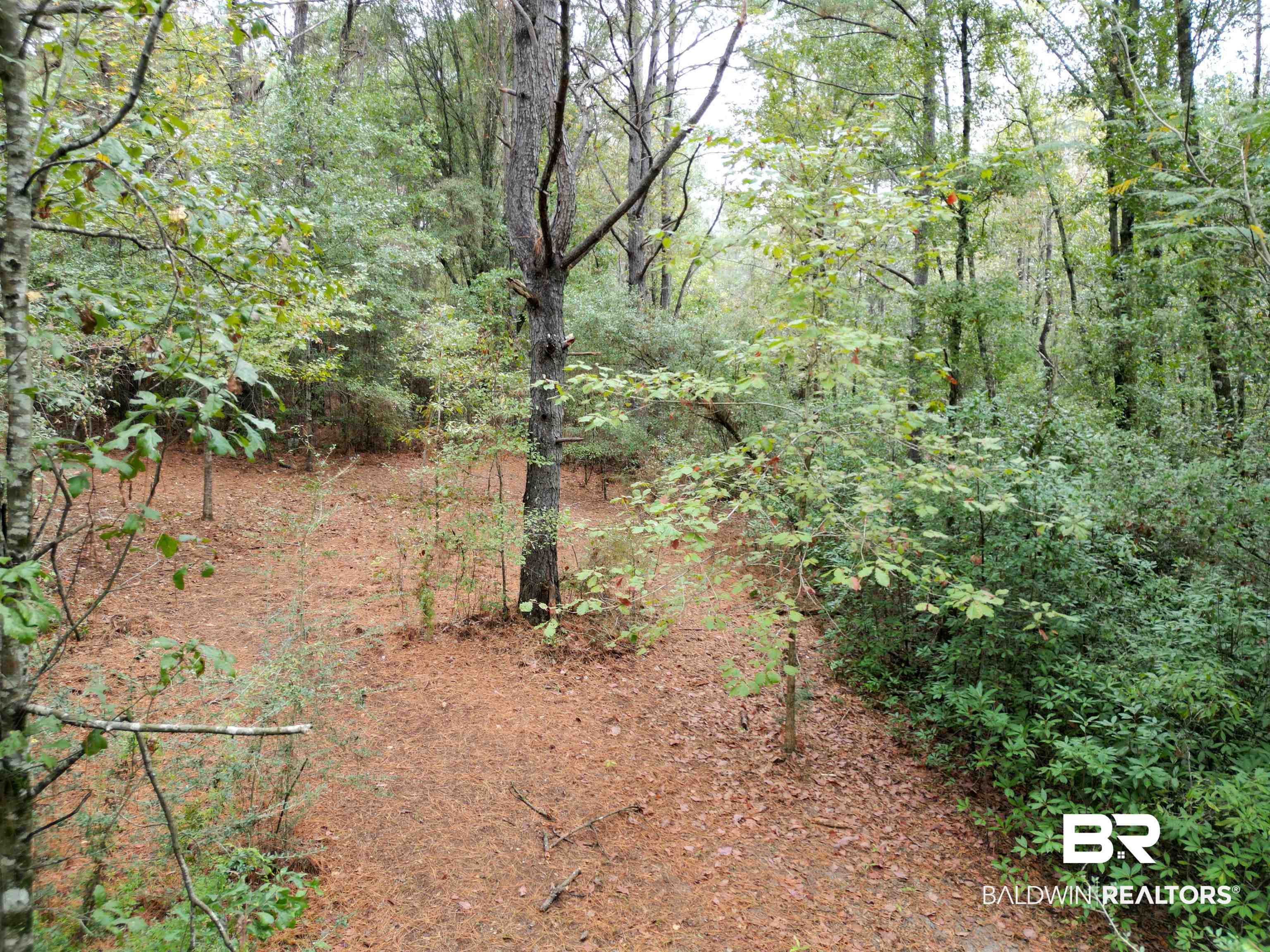 533 Green Acres Road