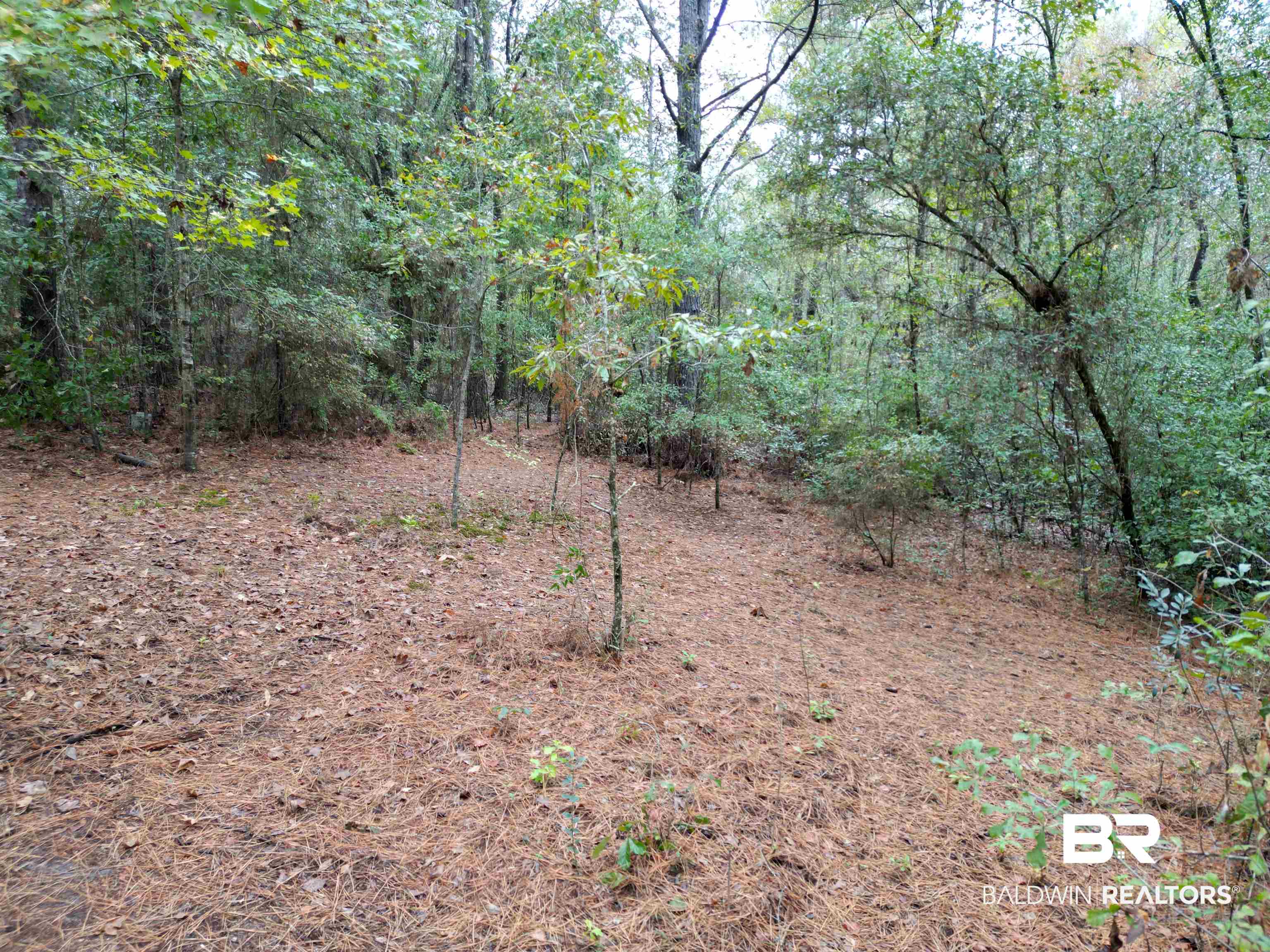 533 Green Acres Road