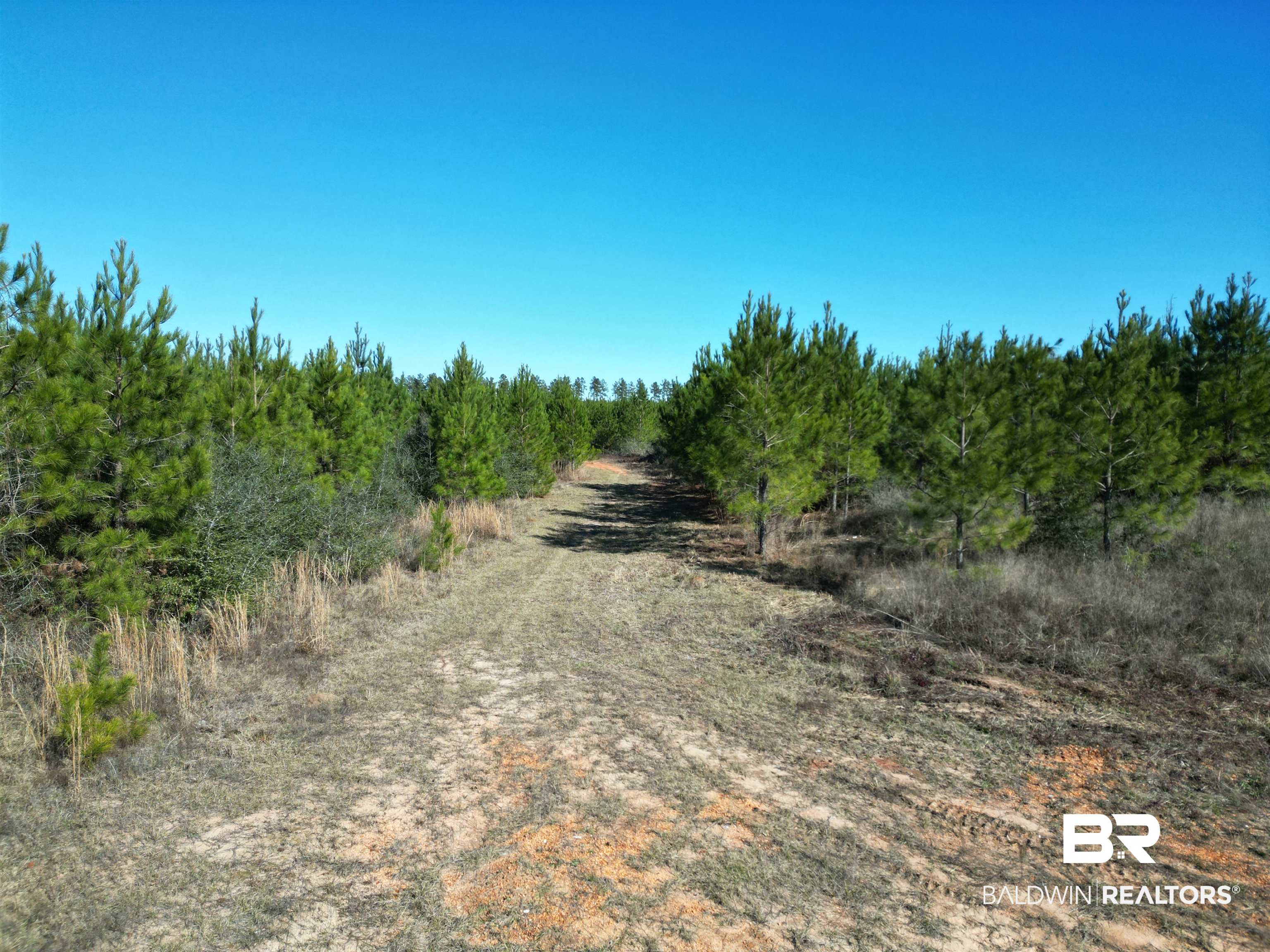 01 Robinsonville Road