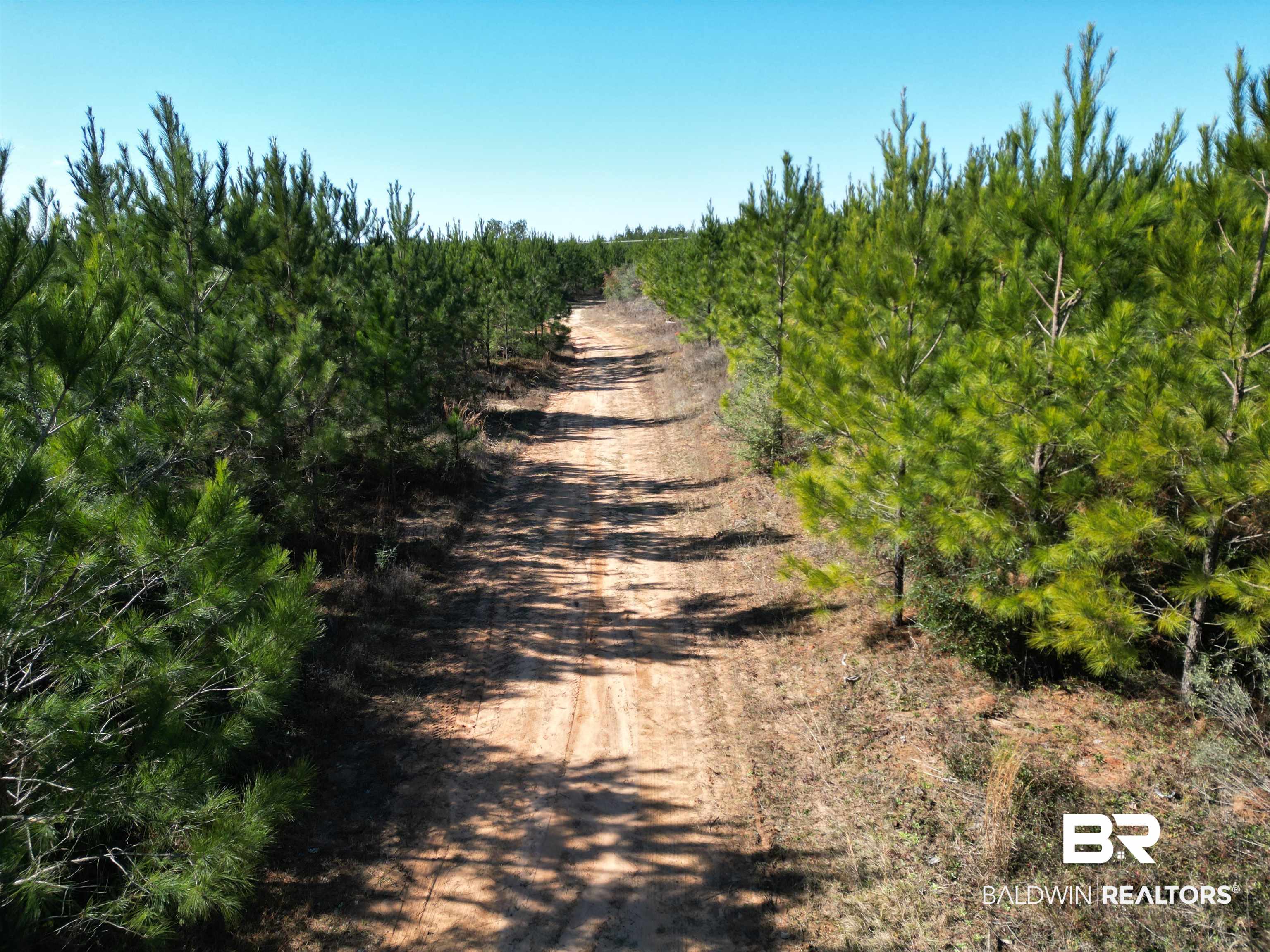 Lot 3 Robinsonville Road