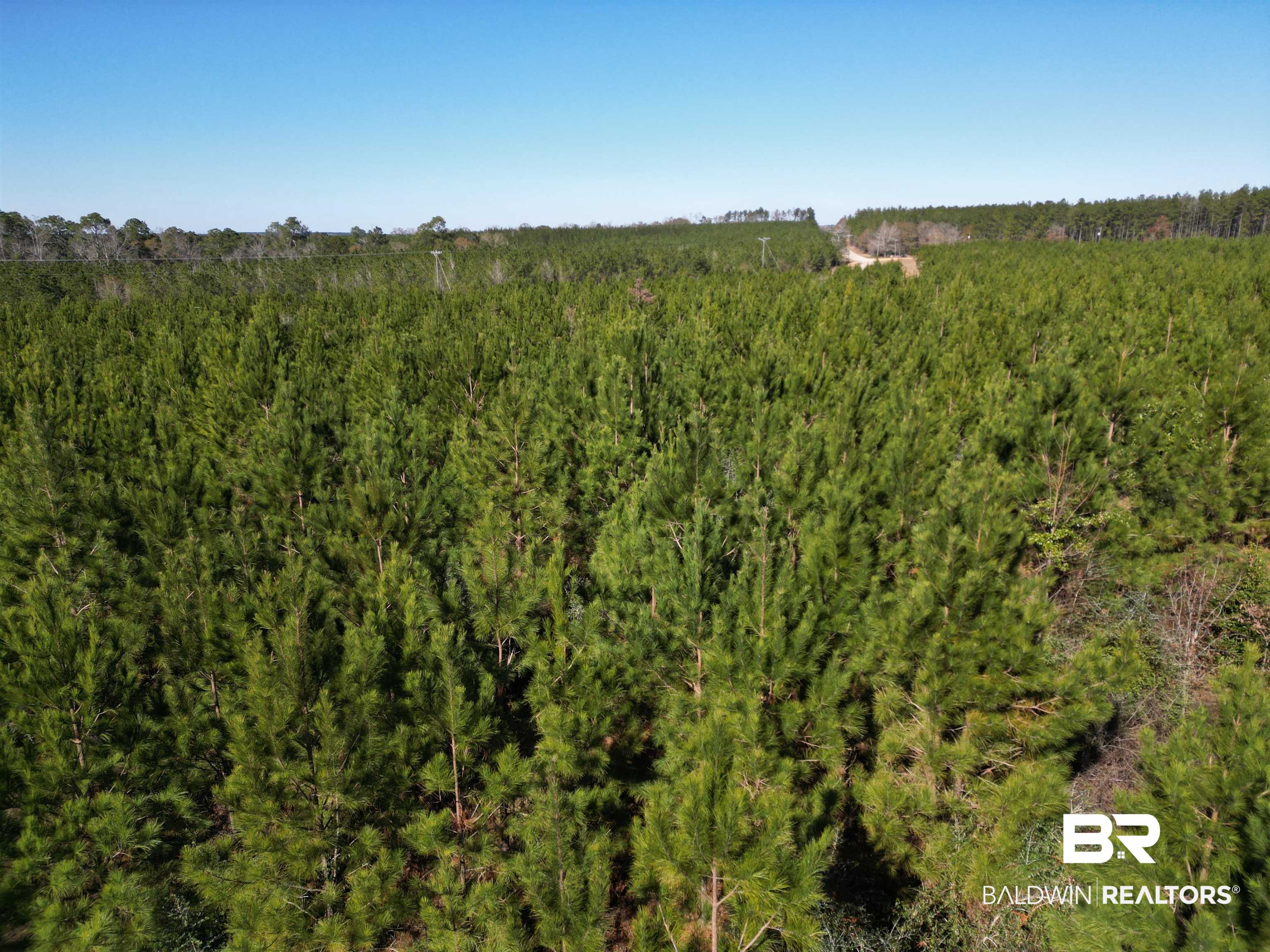 Lot 3 Robinsonville Road