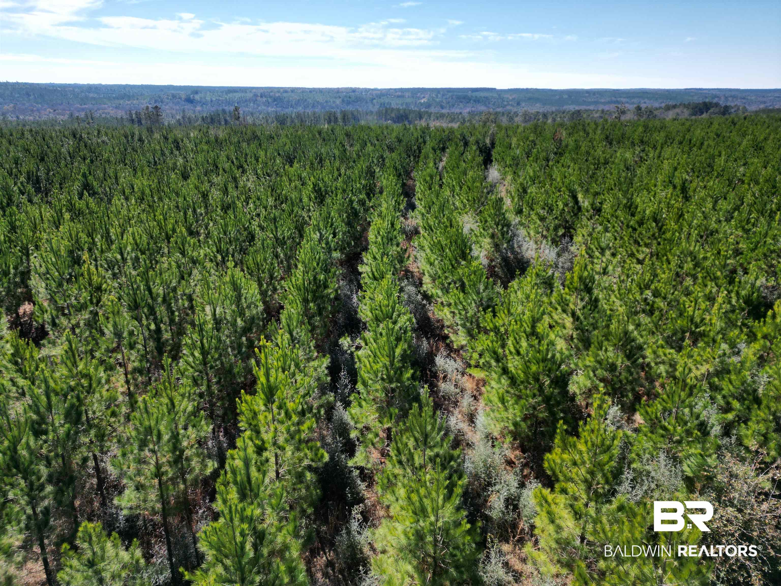 Lot 3 Robinsonville Road
