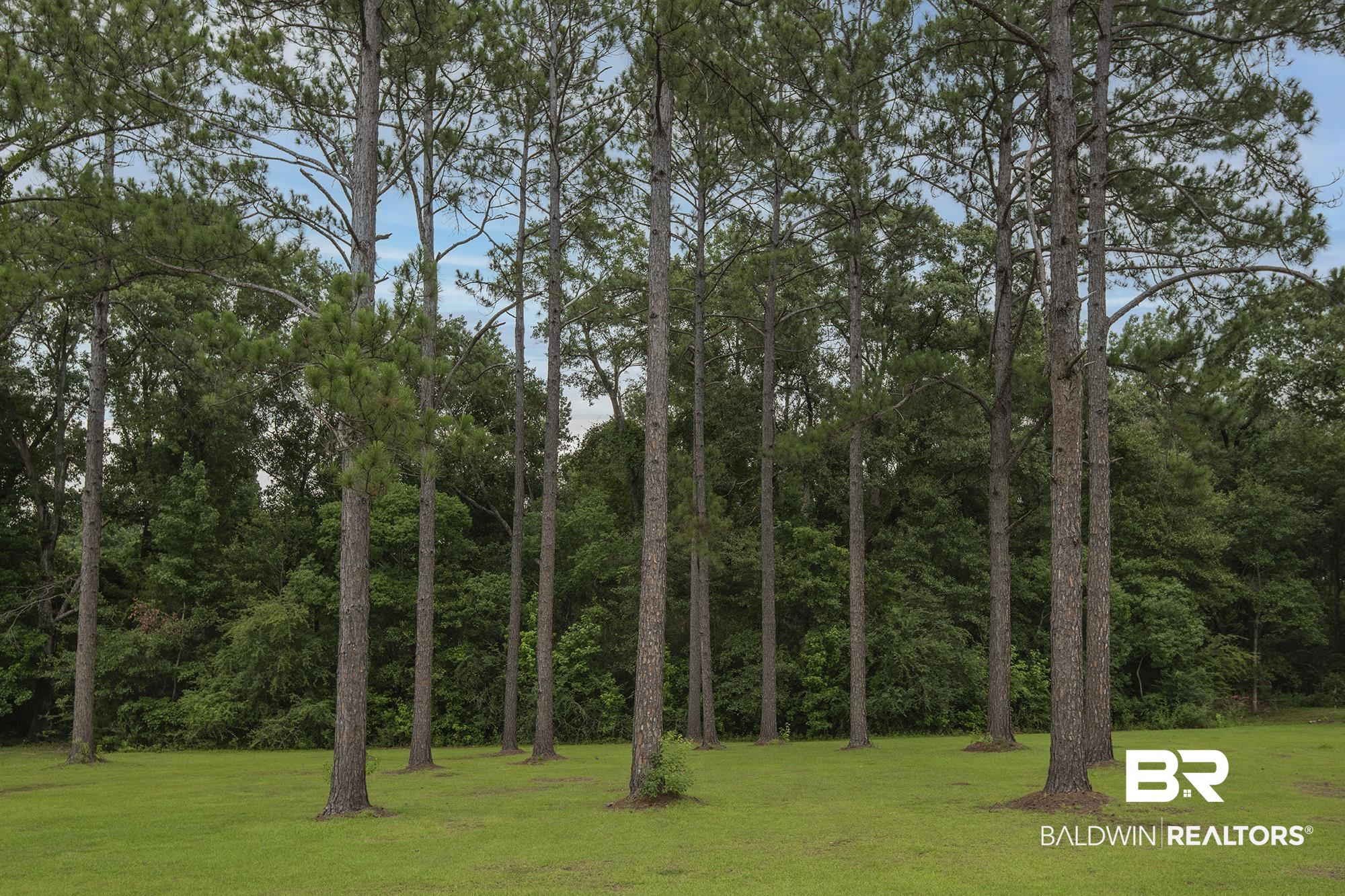 707 Bob White Drive
