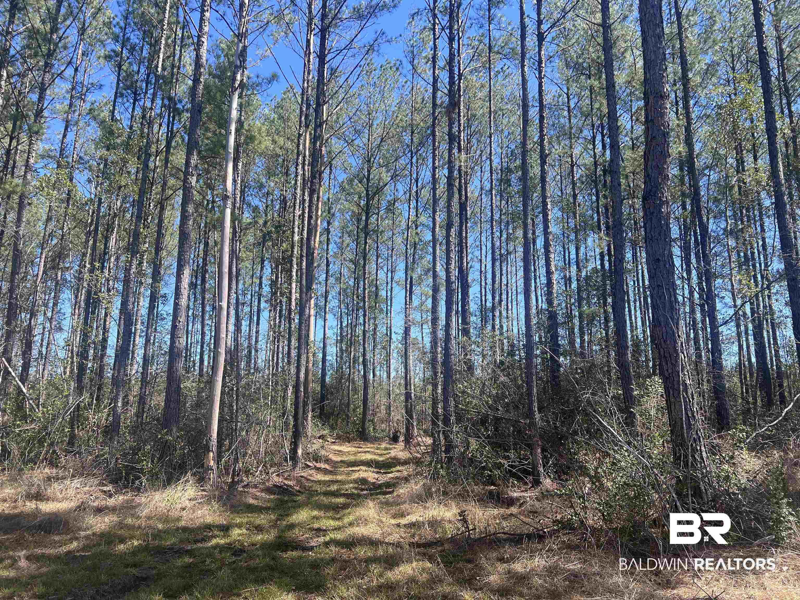 5 Robinsonville Road