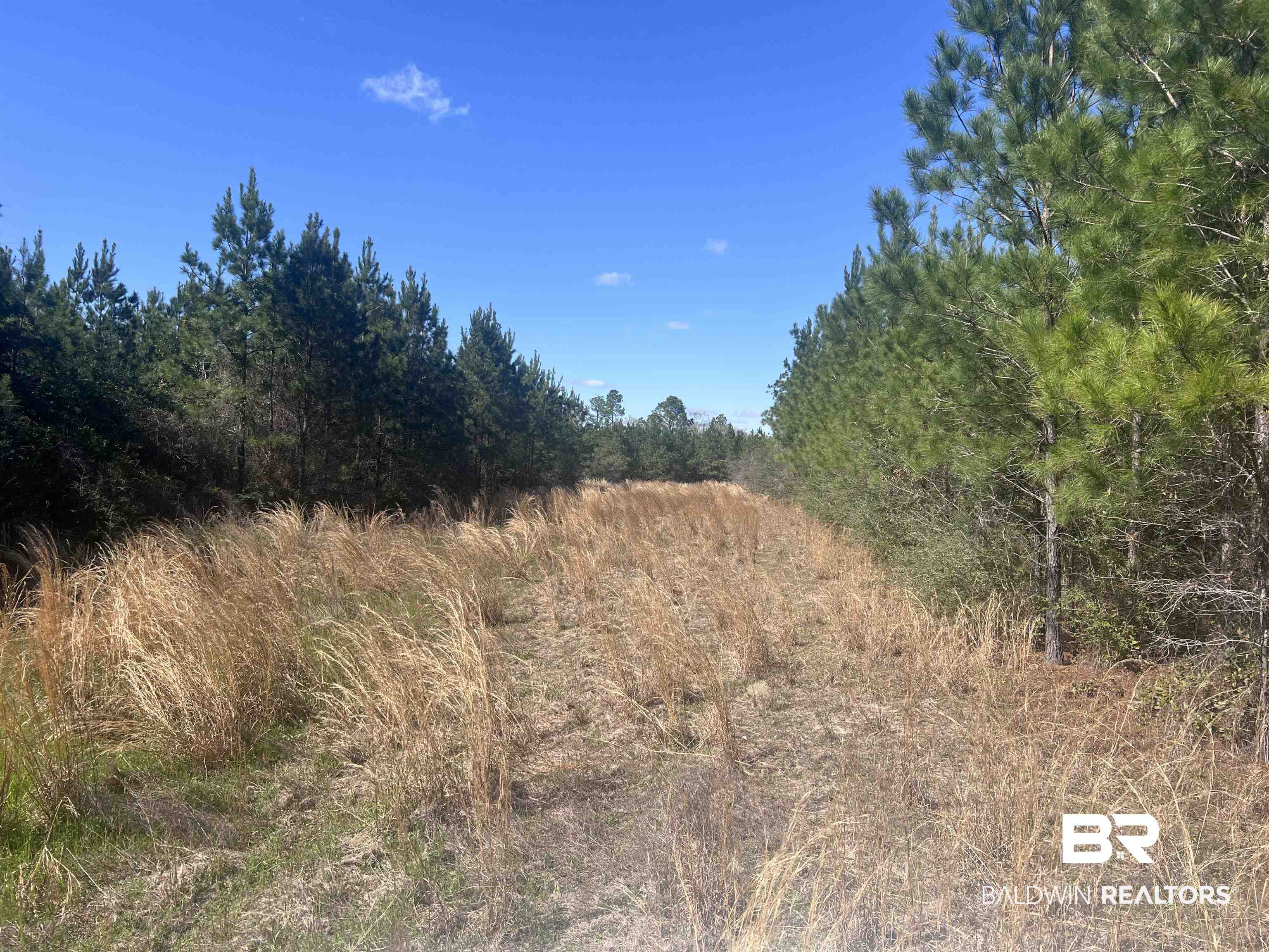 00 Upper Creek Road
