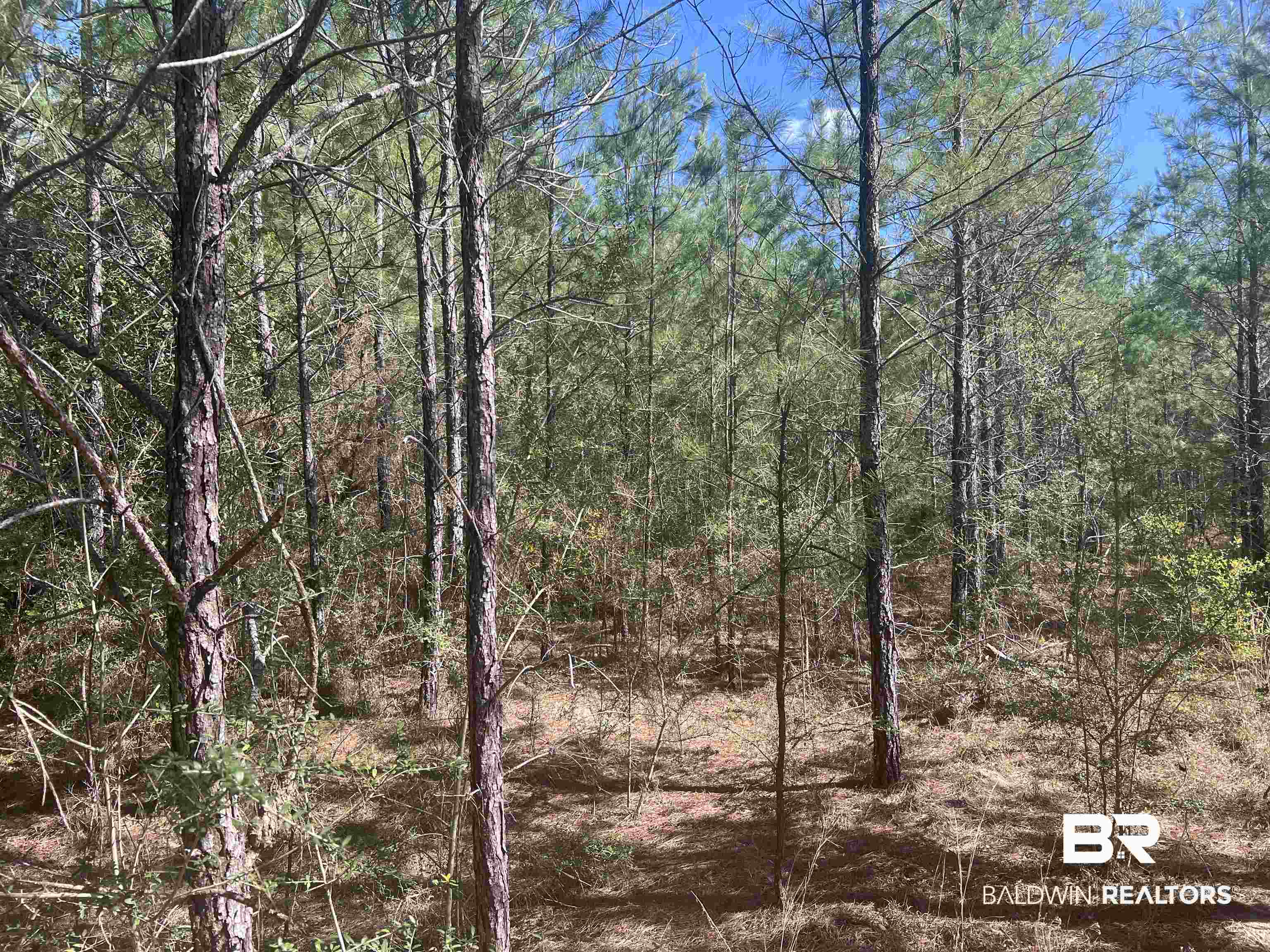 00 Upper Creek Road