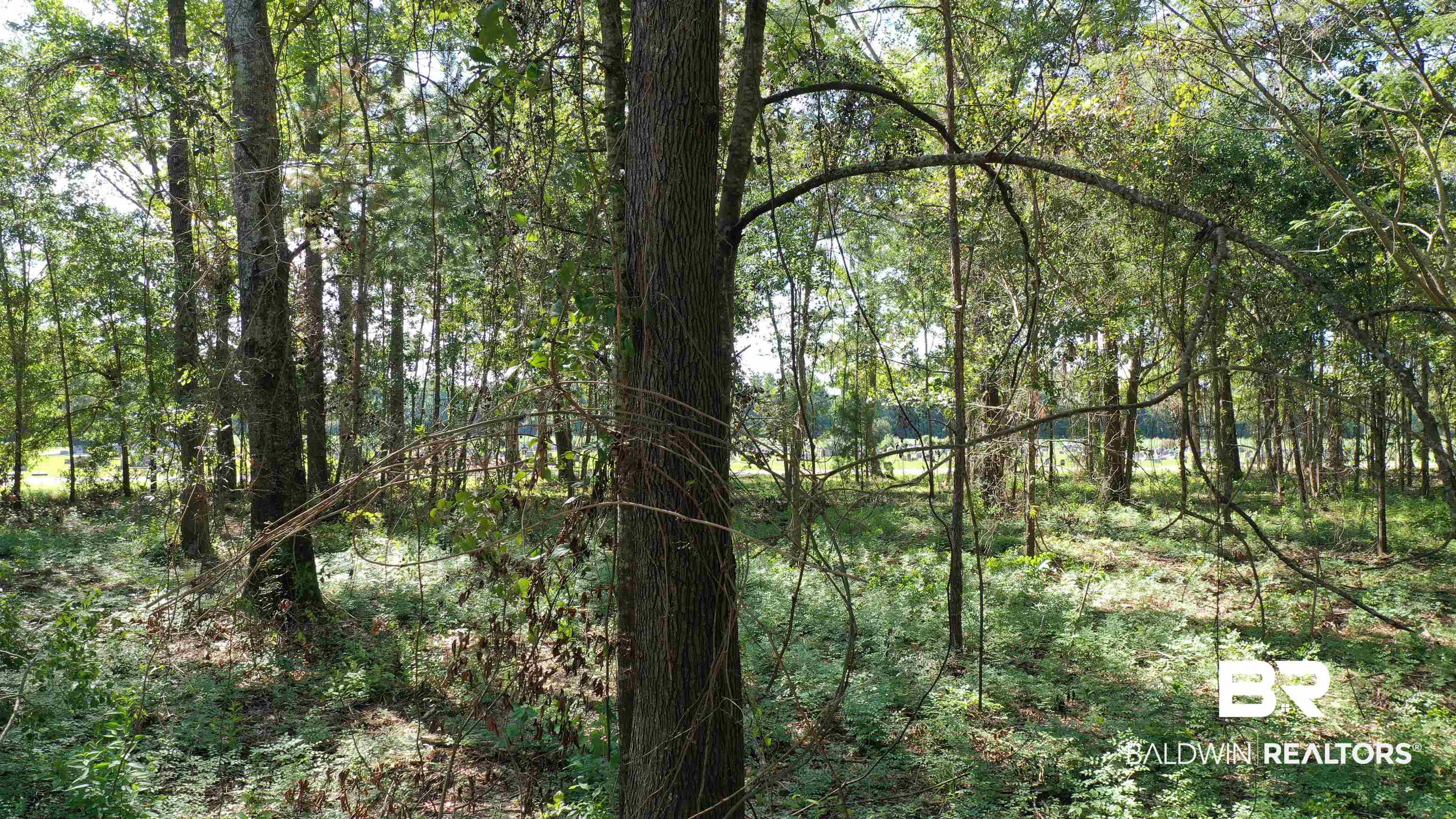 Lot 2A Harris Street