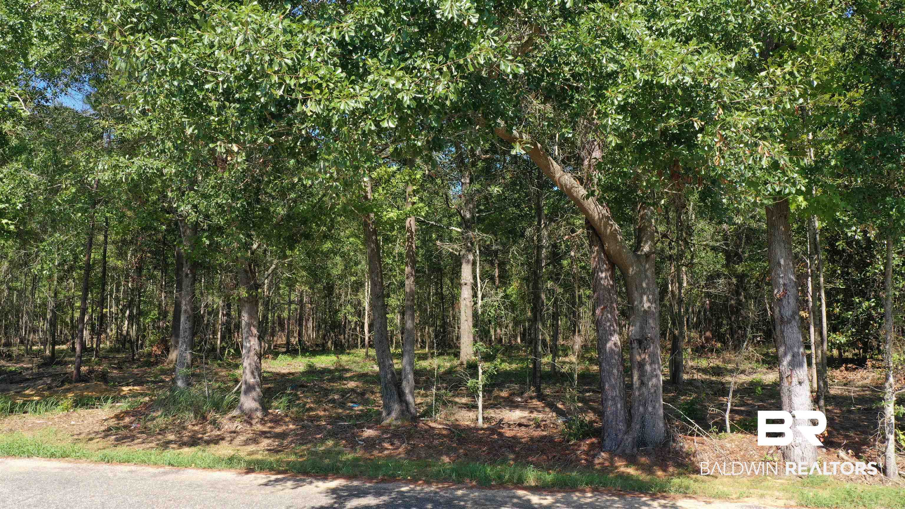Lot 4 Johnson Road
