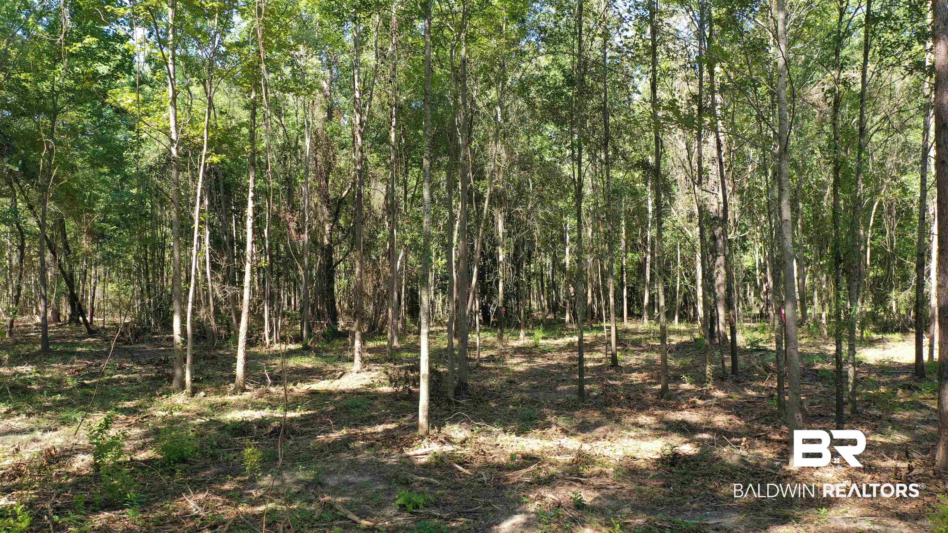 Lot 5 Johnson Road