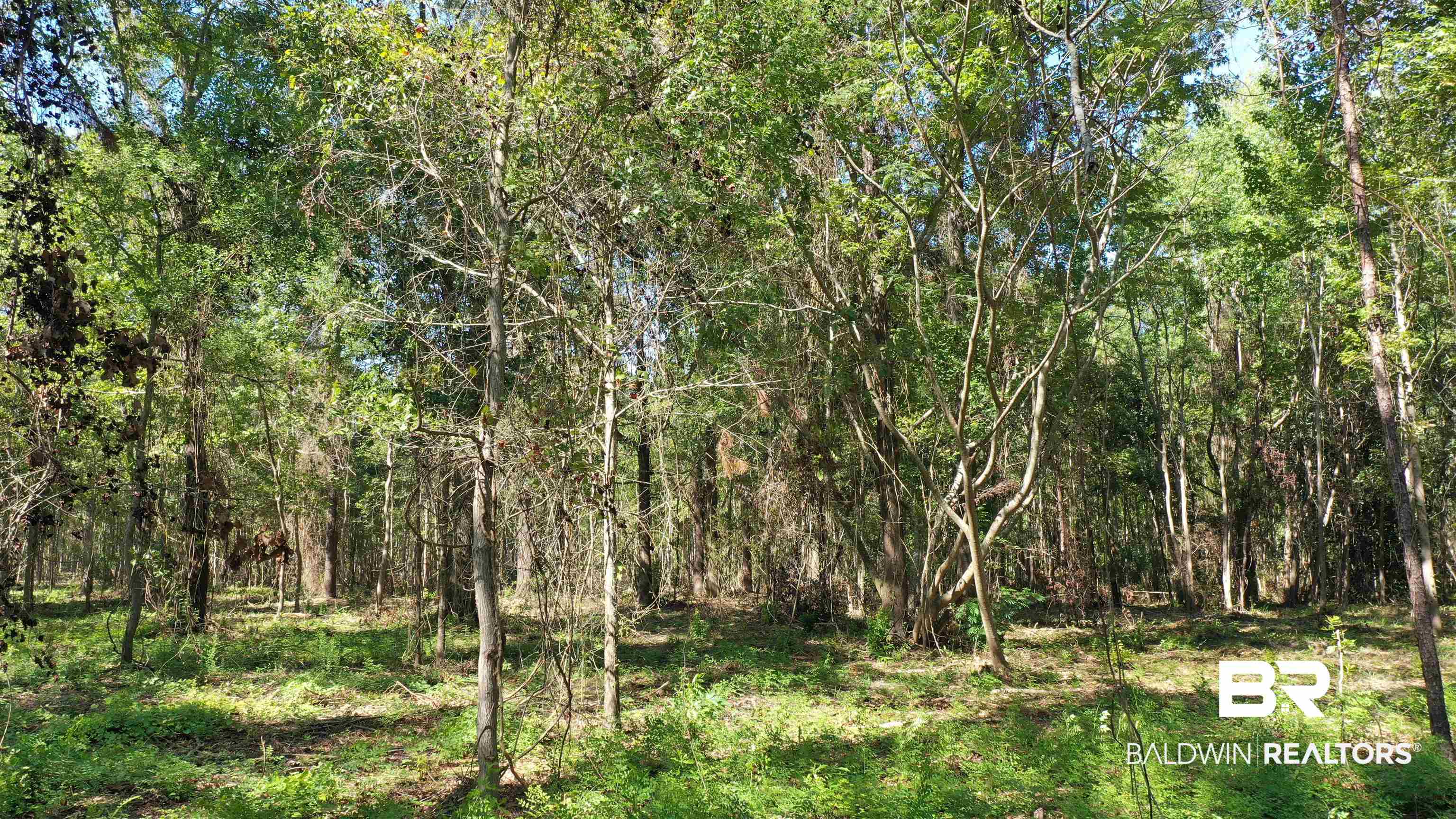 Lot 6 Harris Street