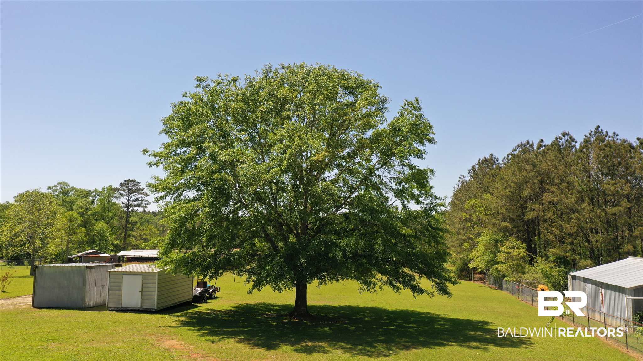 113 Honey Drive