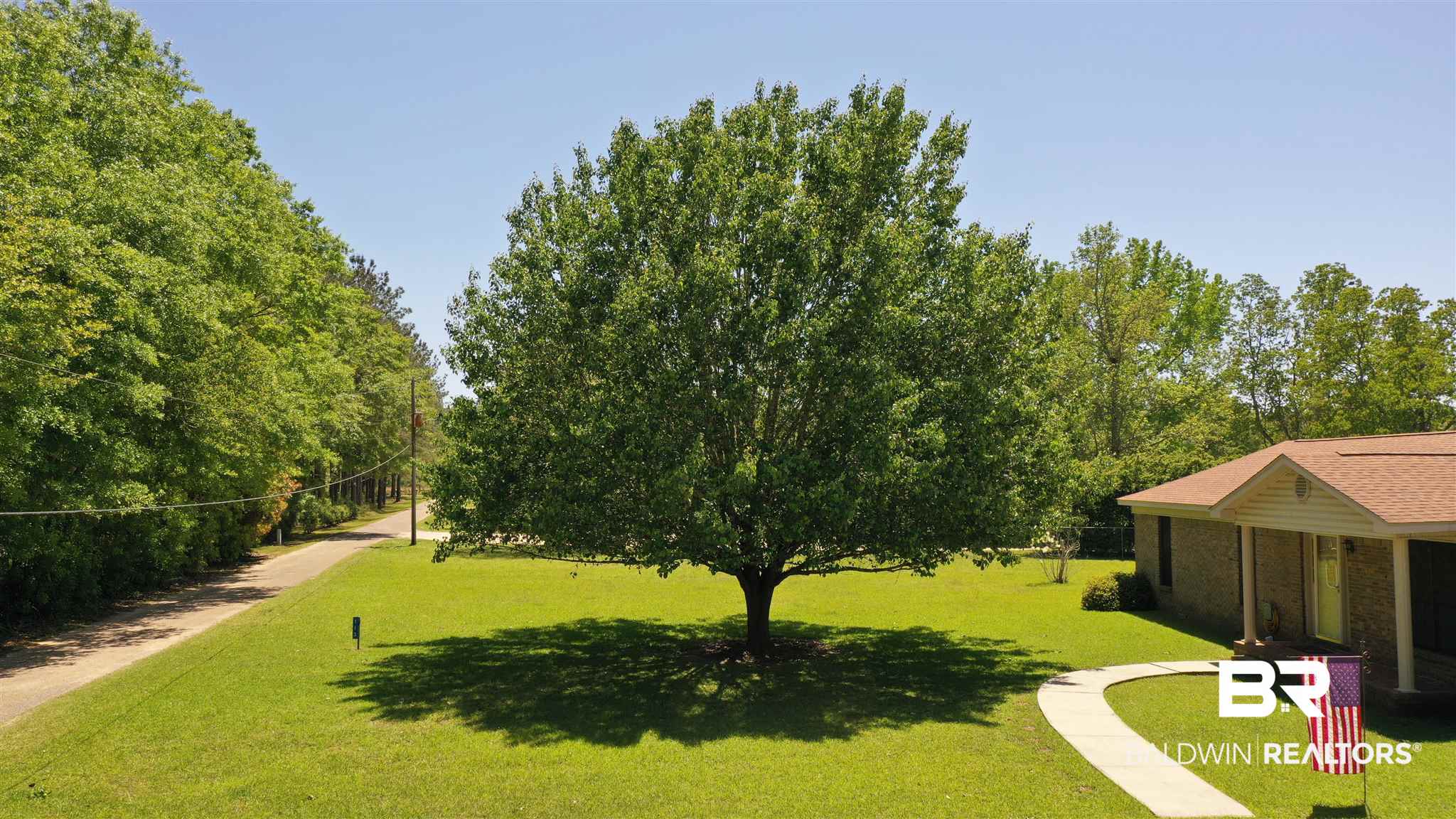 113 Honey Drive