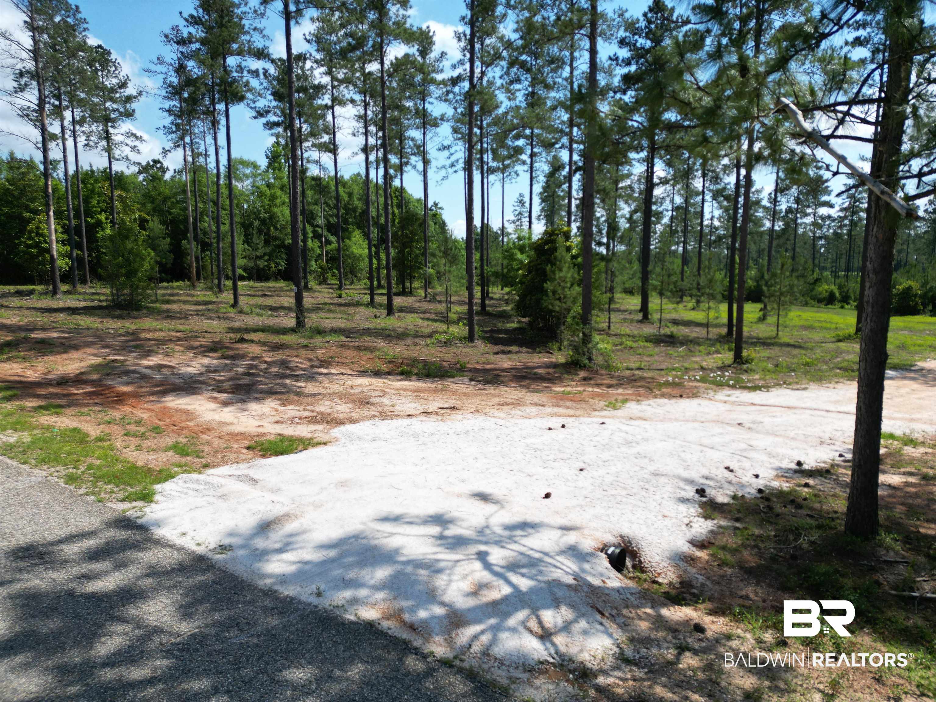 8450 Robinsonville Road