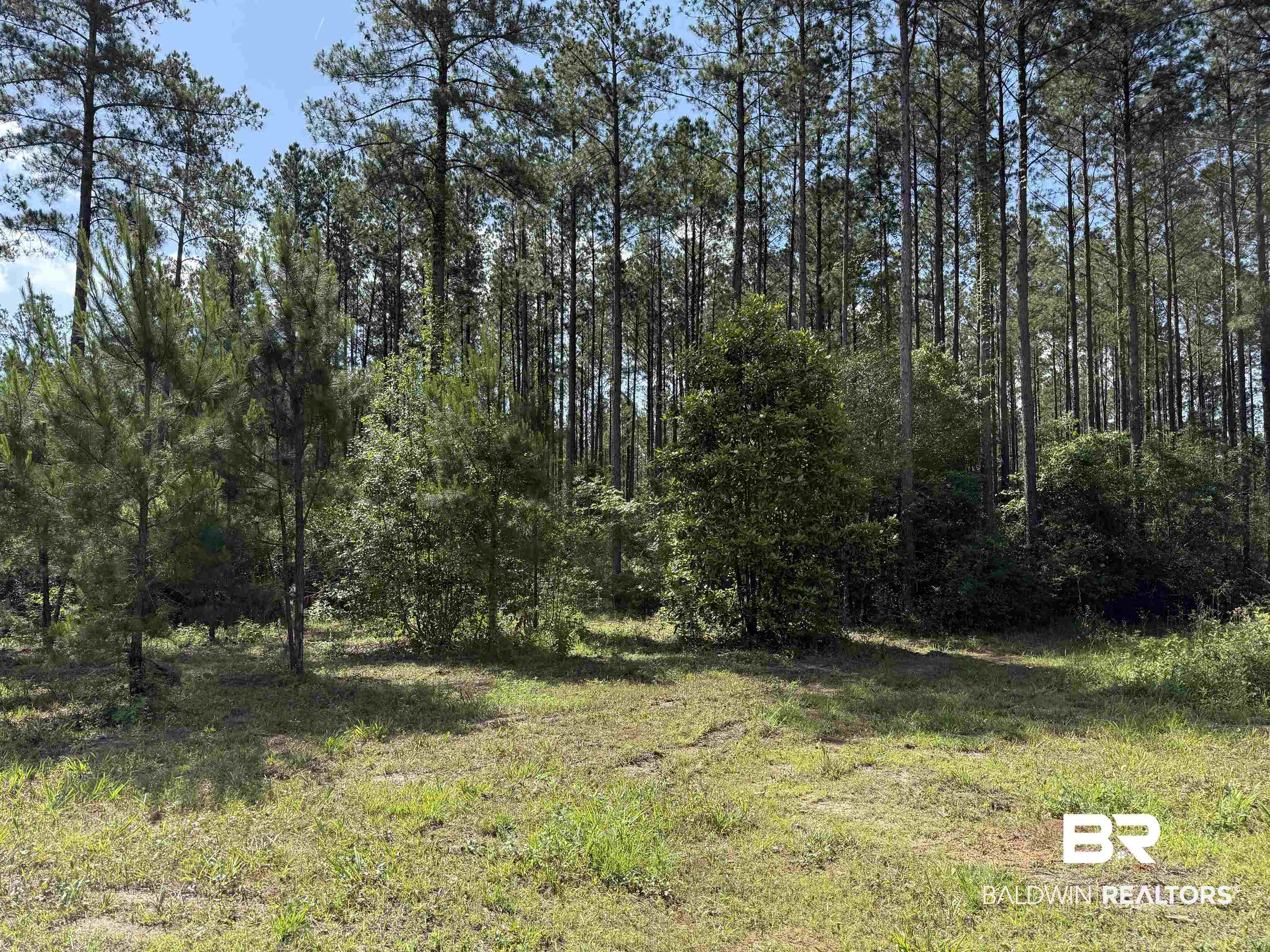 8450 Robinsonville Road