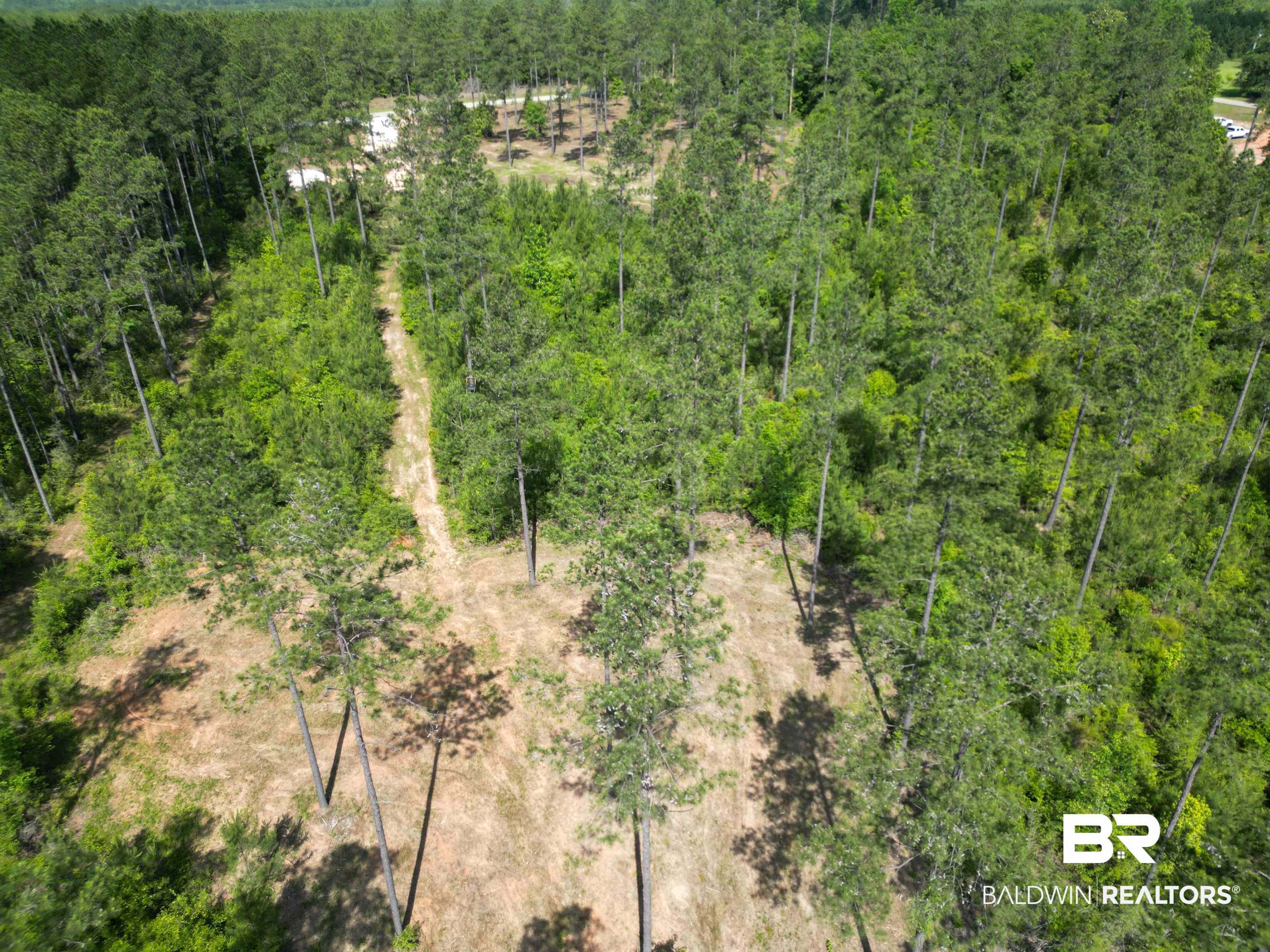 8450 Robinsonville Road