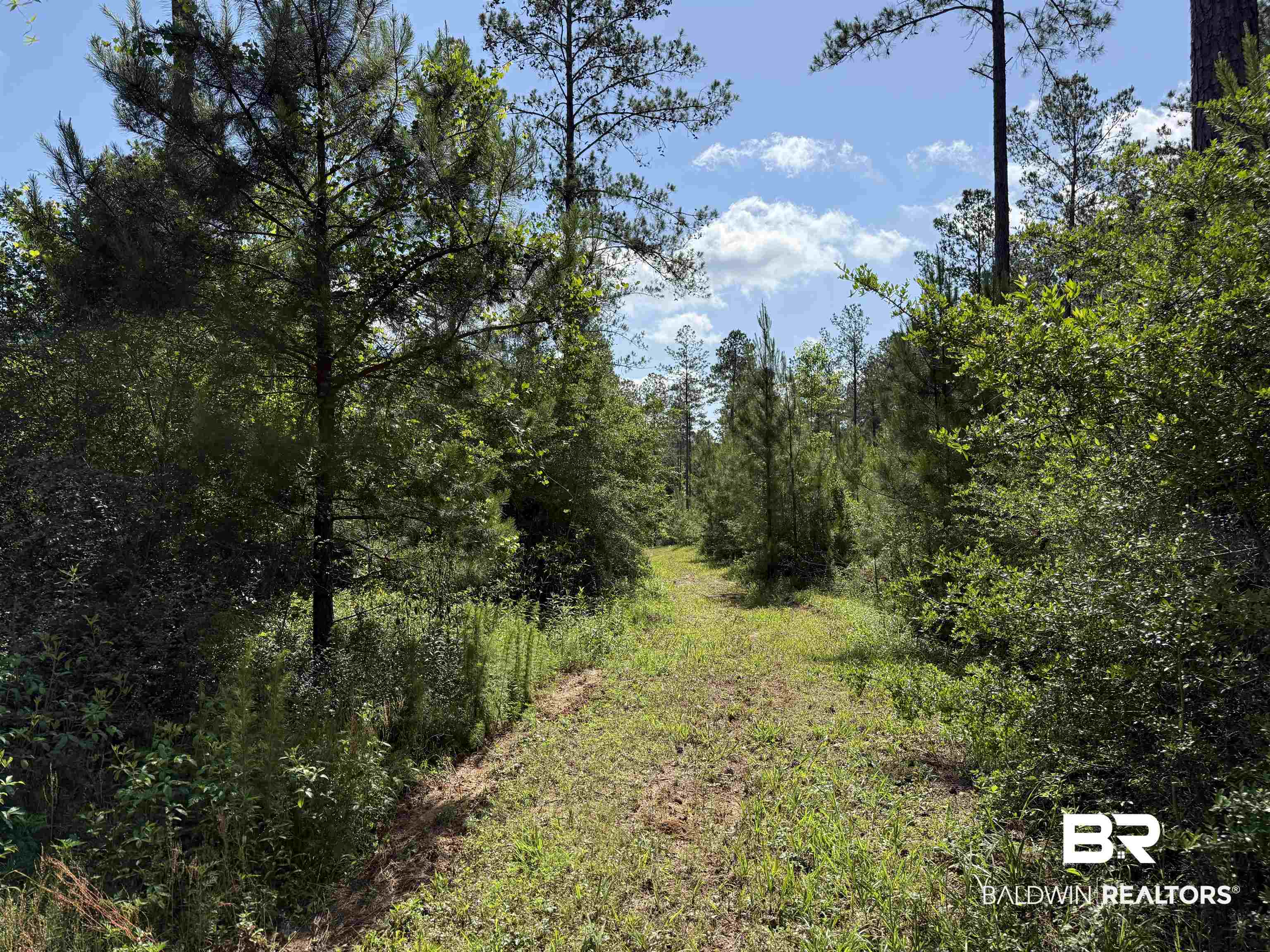 8450 Robinsonville Road