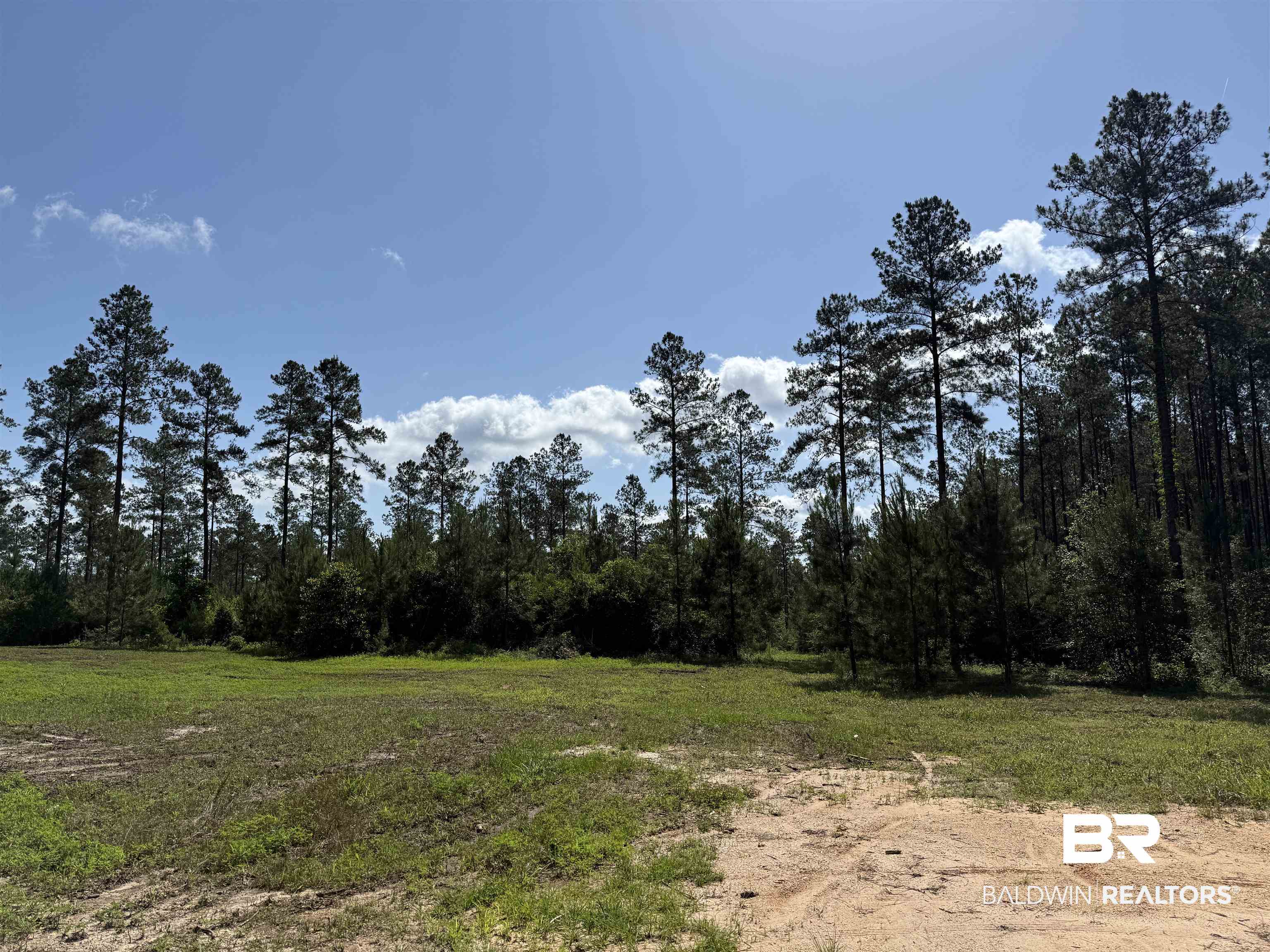 8450 Robinsonville Road