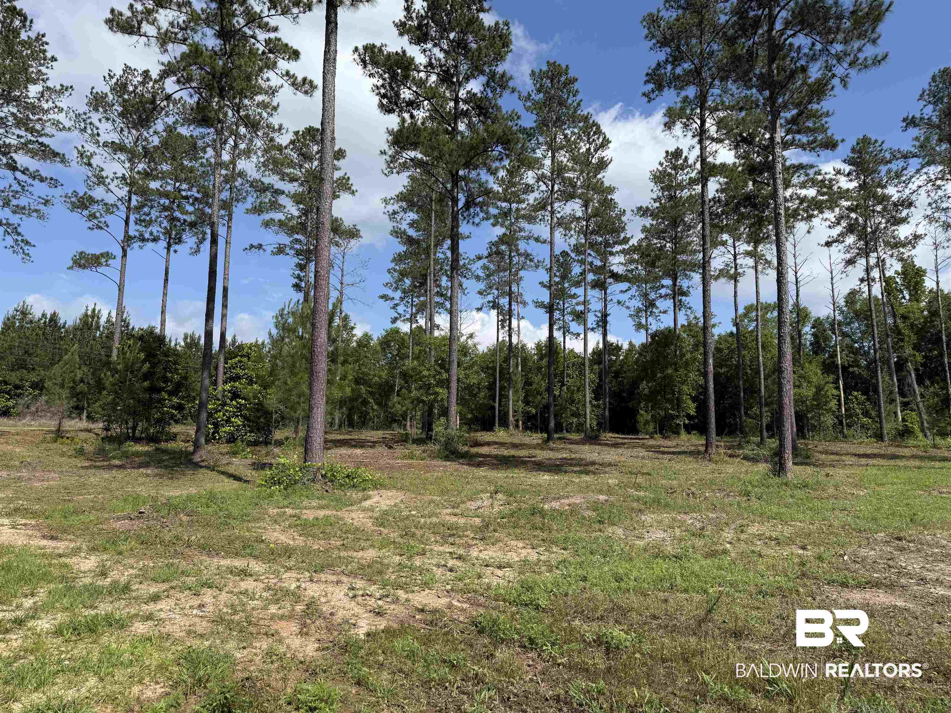 8450 Robinsonville Road