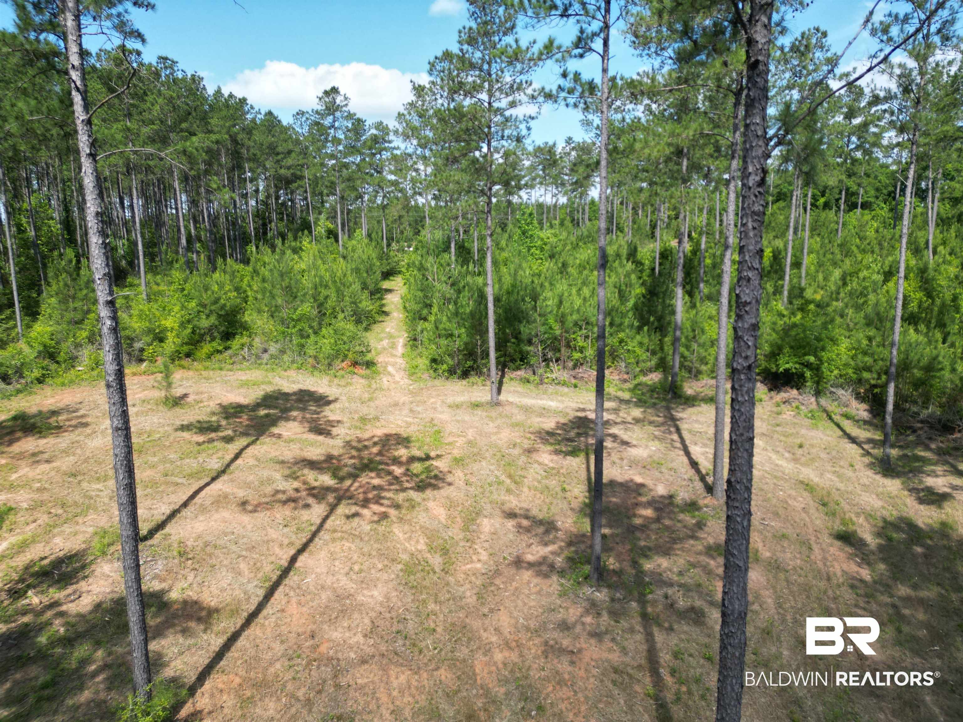 8450 Robinsonville Road