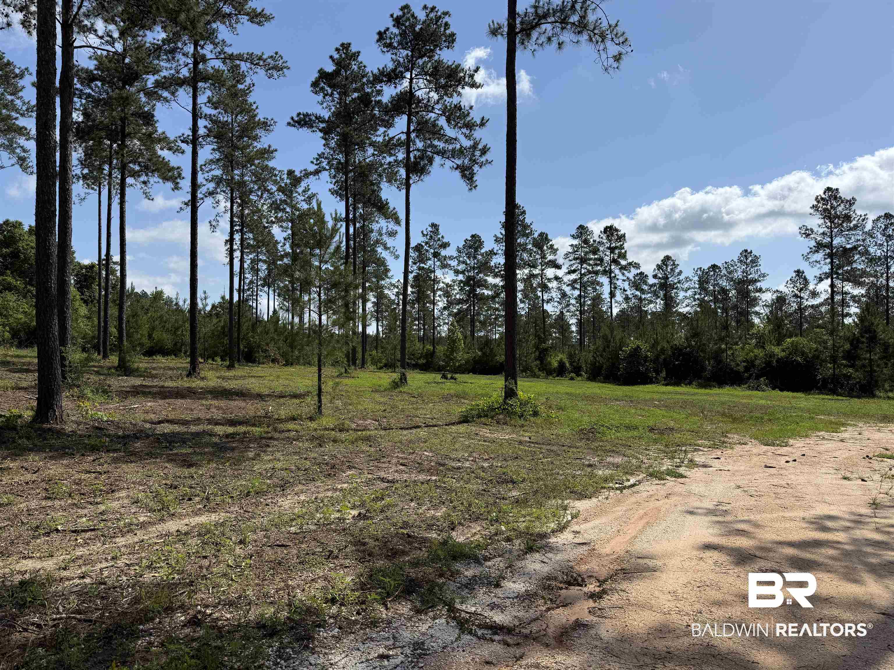 8450 Robinsonville Road