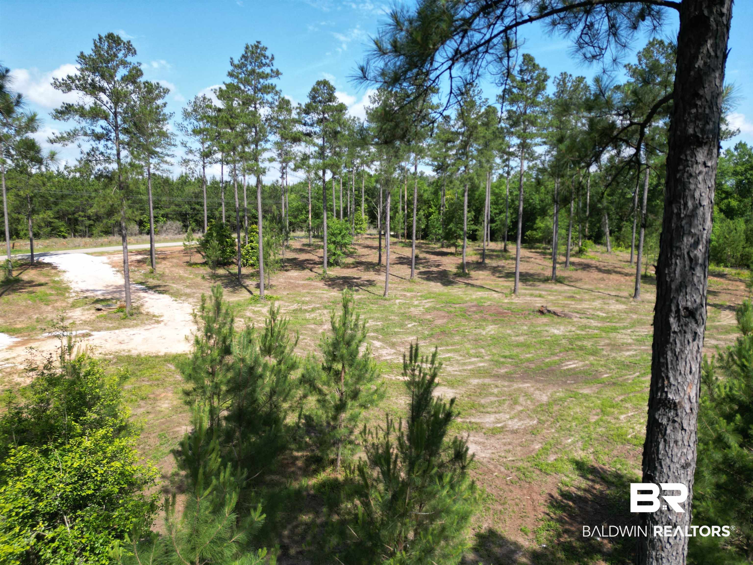 8450 Robinsonville Road