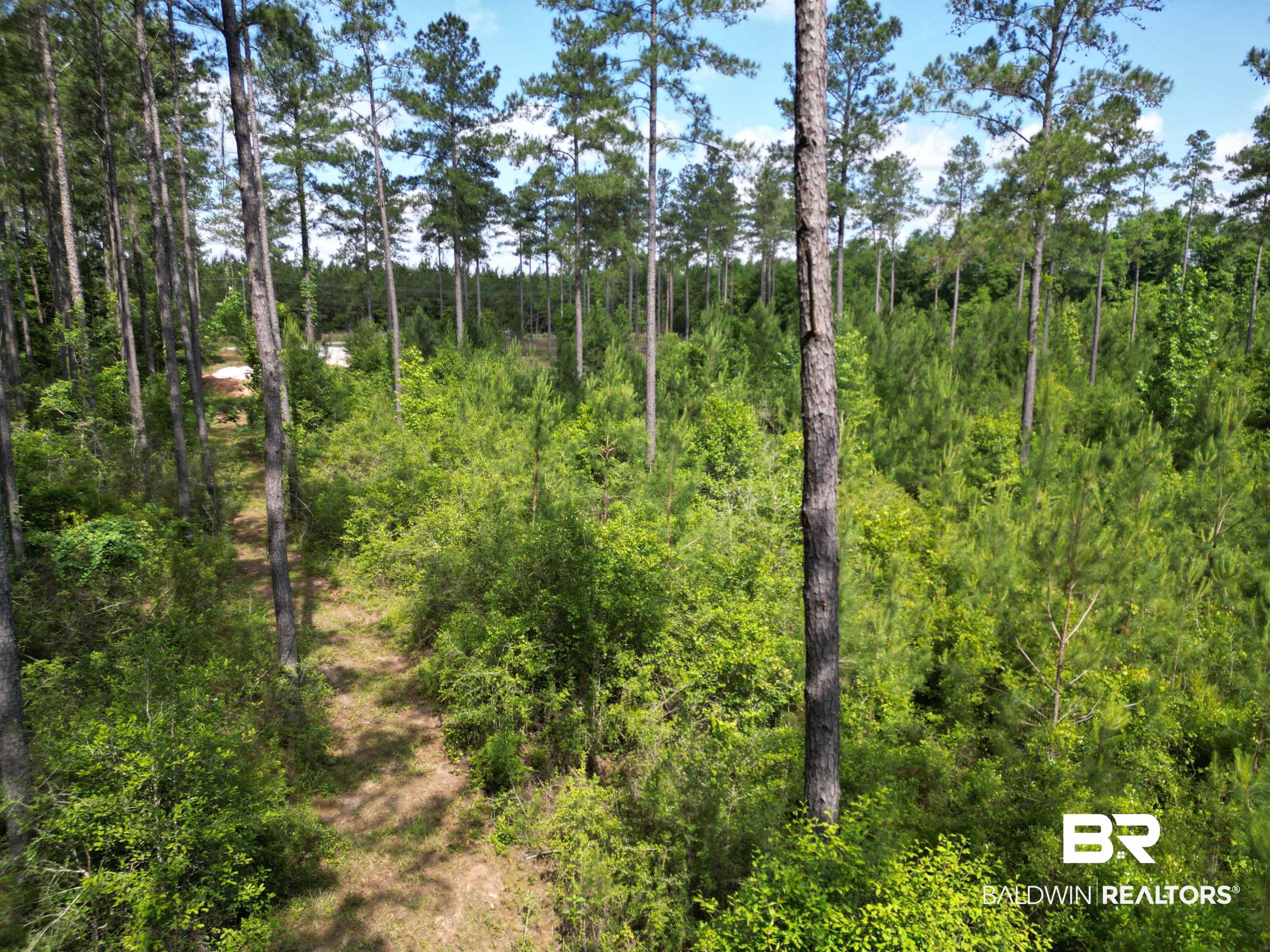 8450 Robinsonville Road