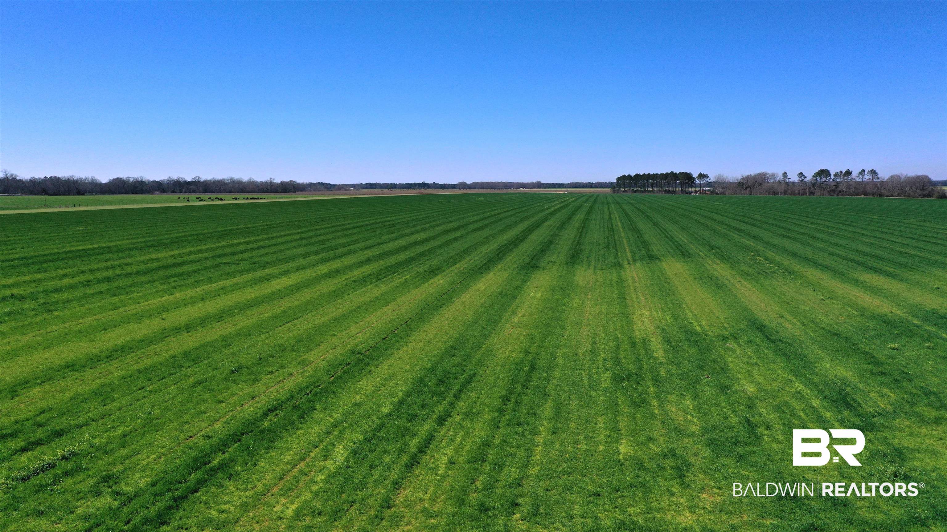 Lot 14 Davis Pond Road