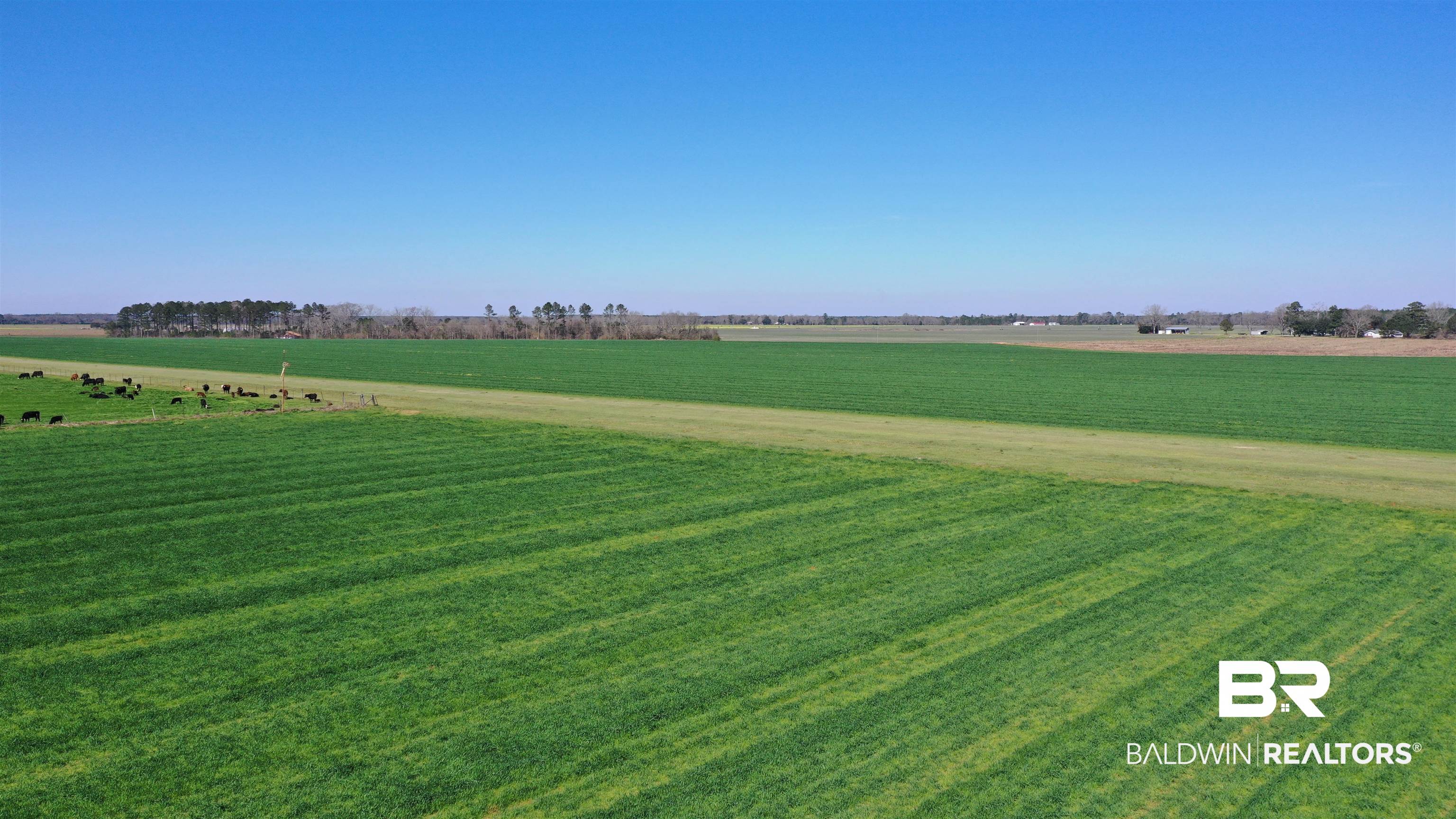 Lot 14 Davis Pond Road