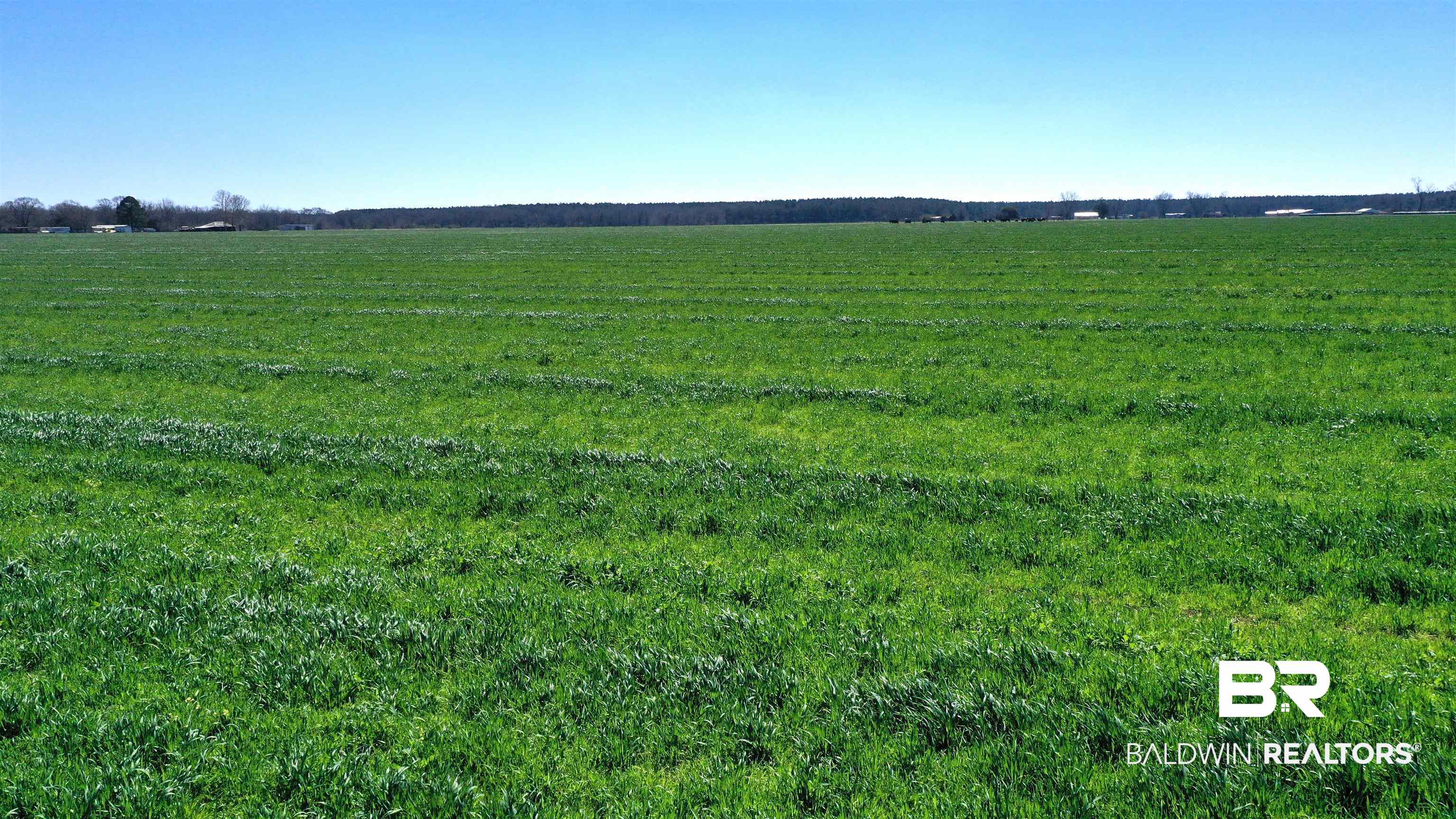 Lot 14 Davis Pond Road