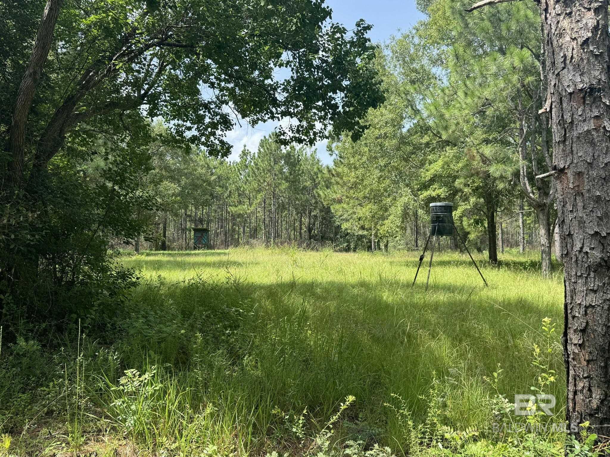 0 Nokomis Road