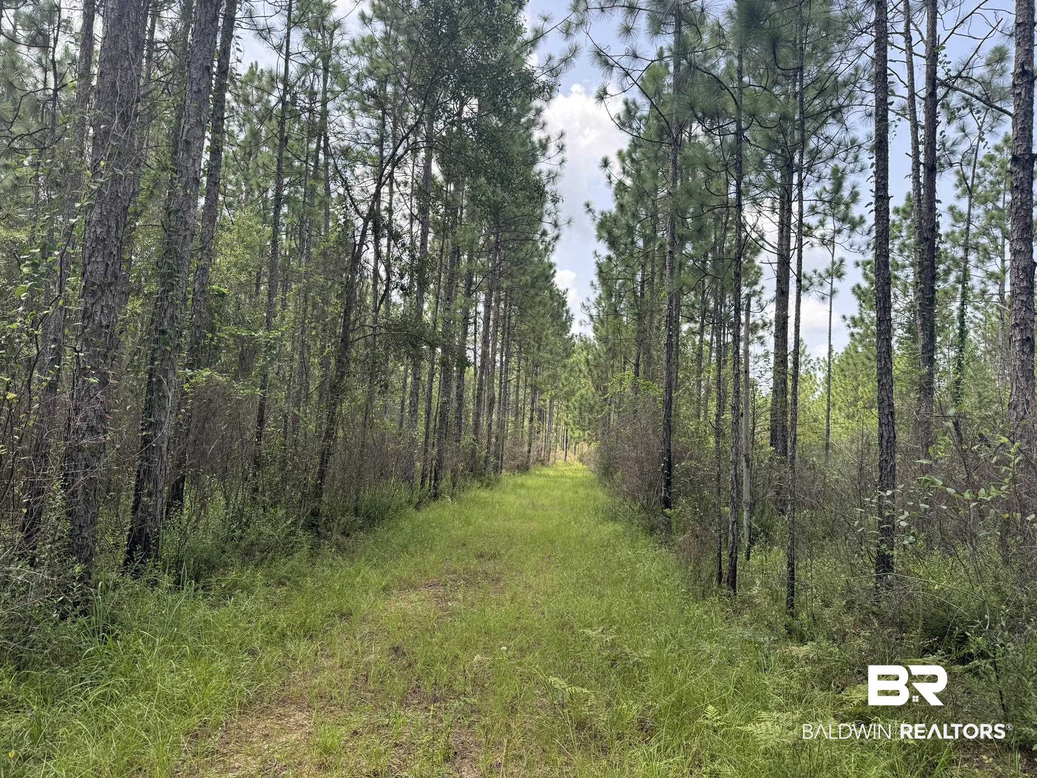 0 Nokomis Road