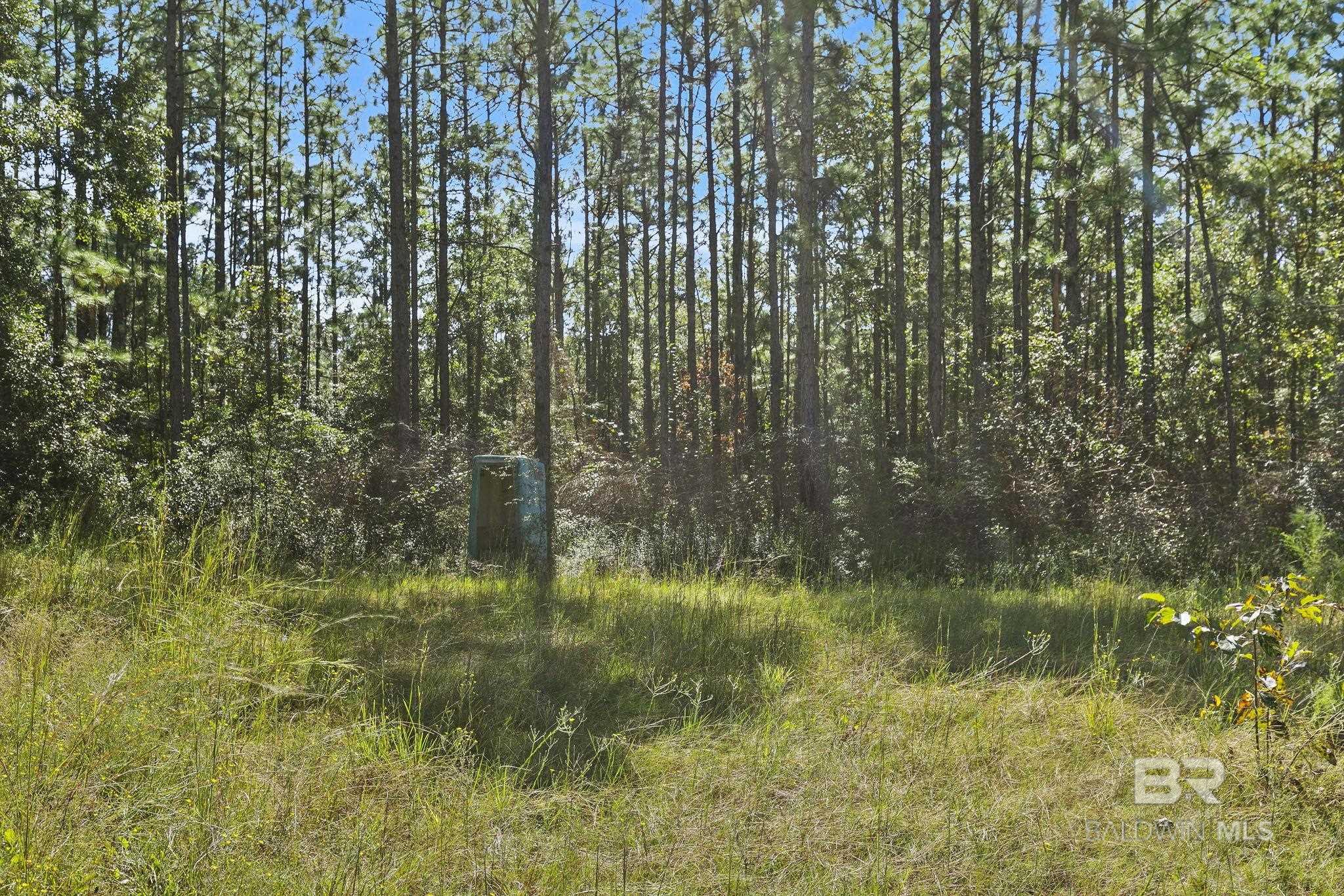 0 Nokomis Road