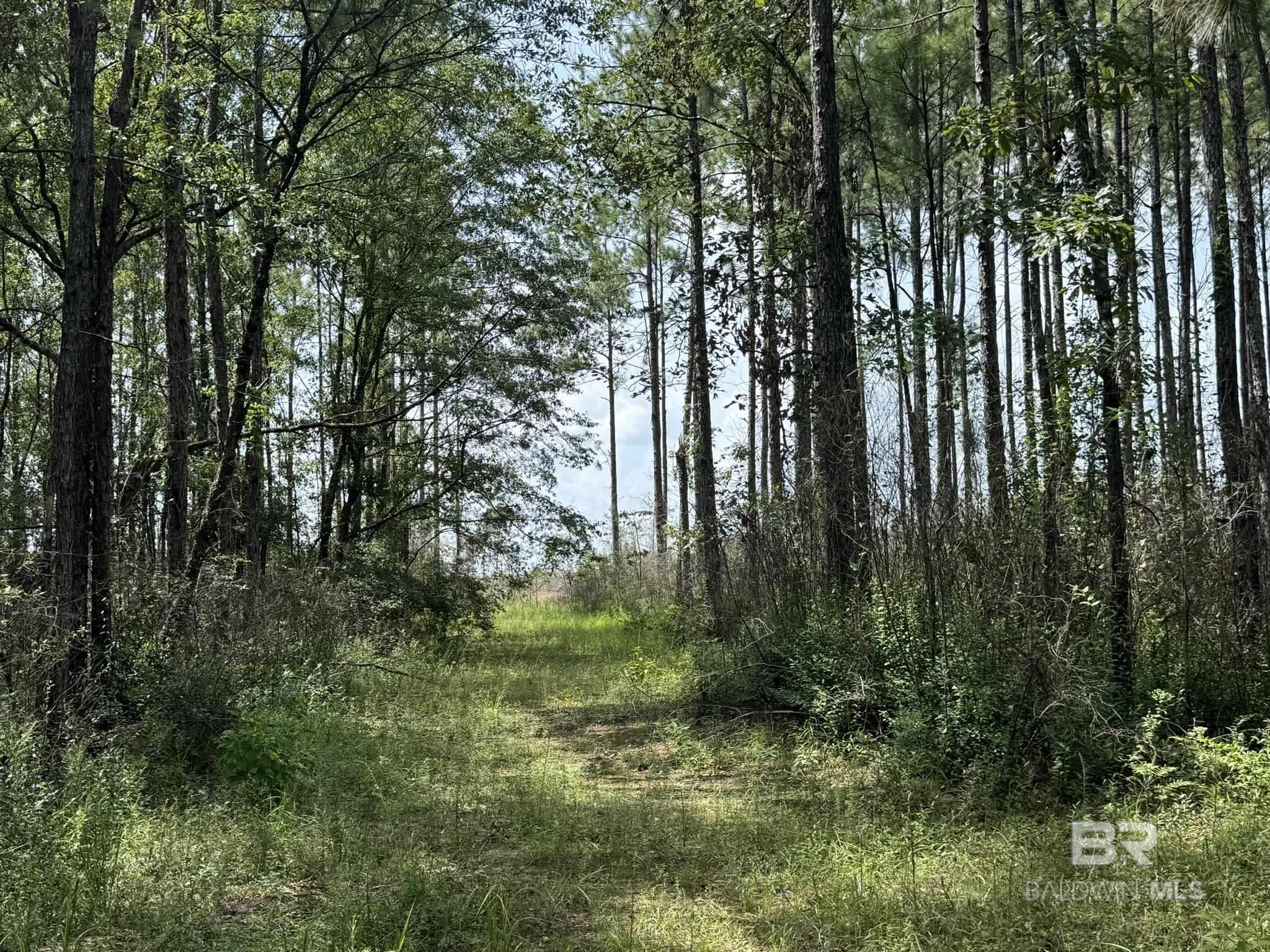 0 Nokomis Road
