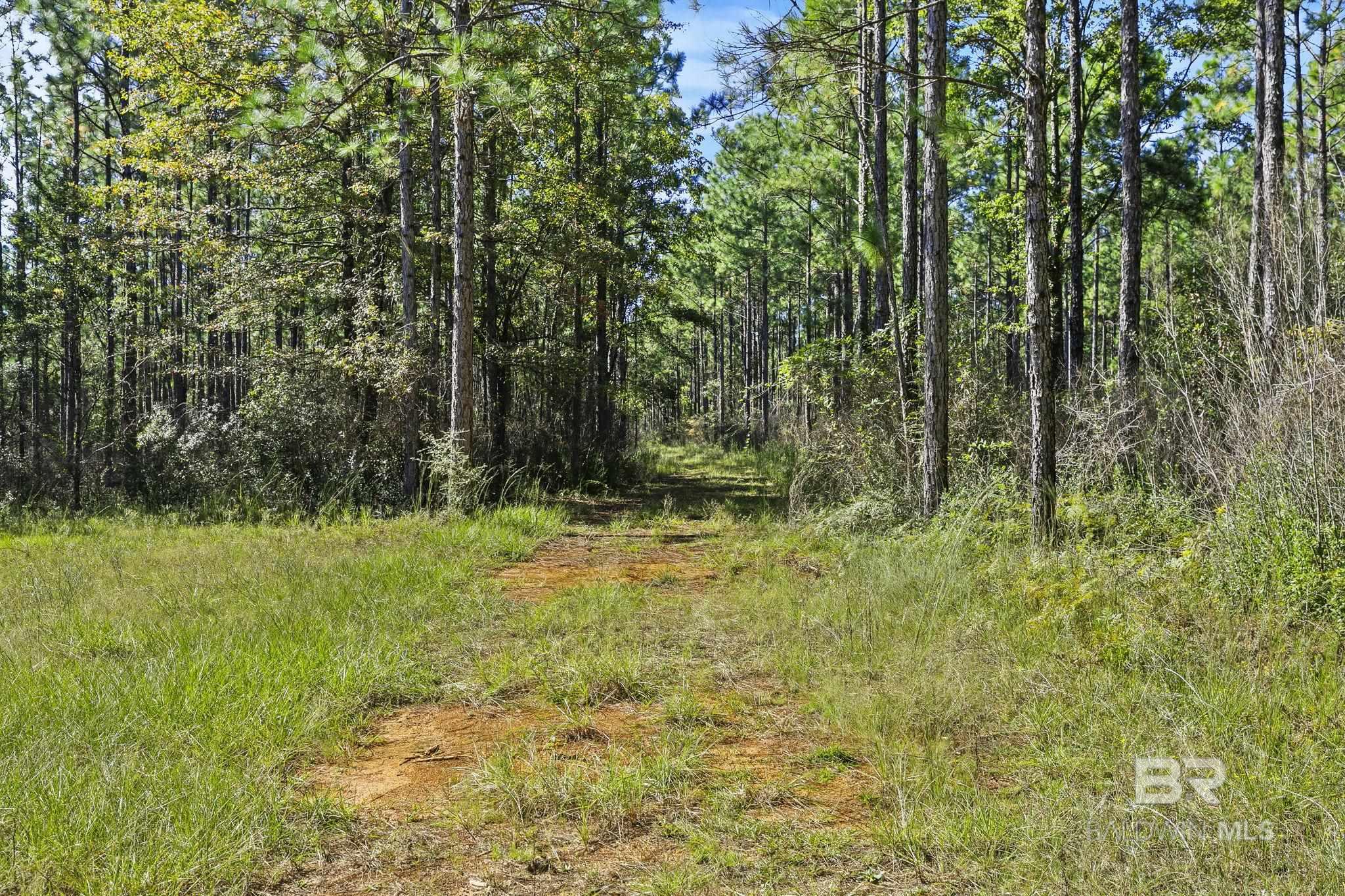 0 Nokomis Road