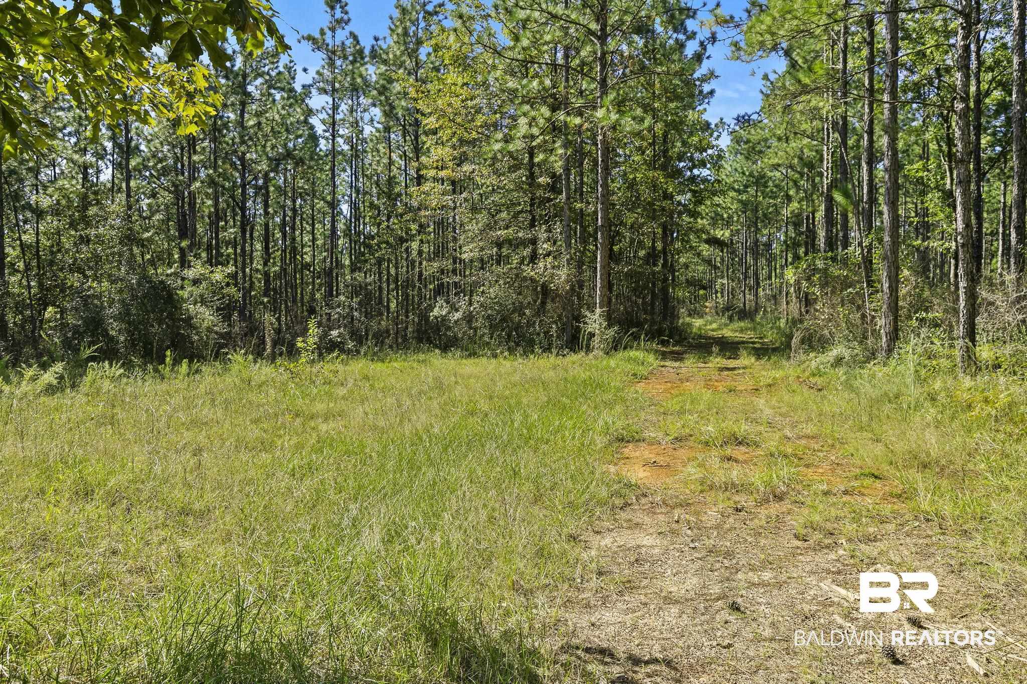 0 Nokomis Road