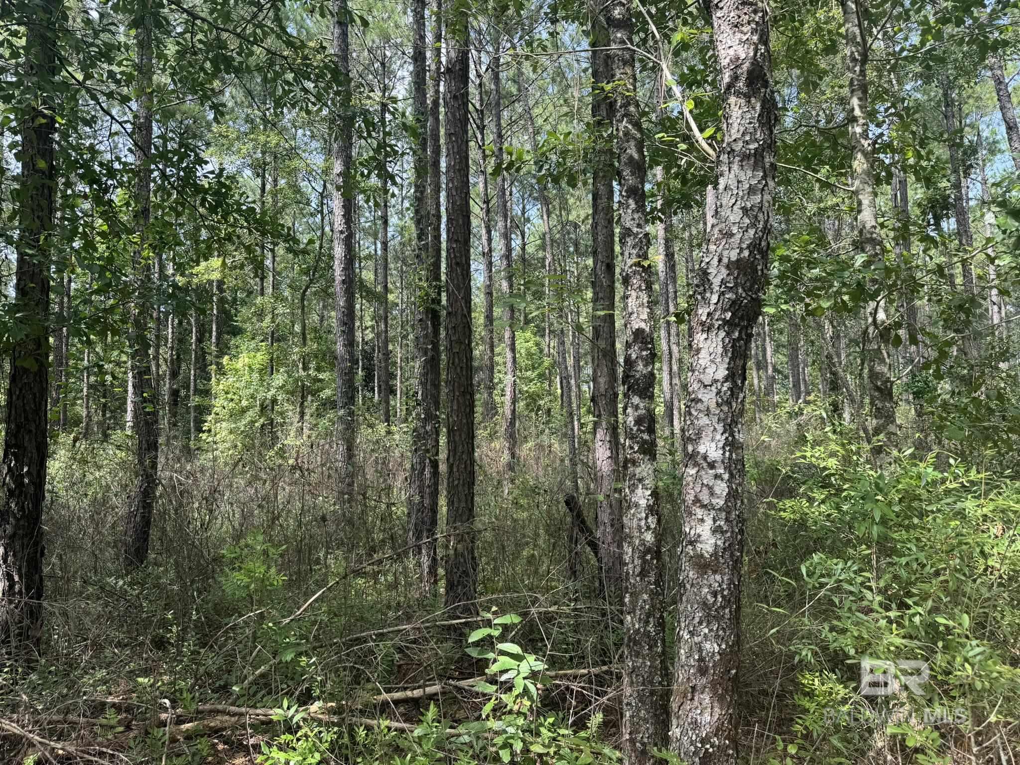 0 Nokomis Road