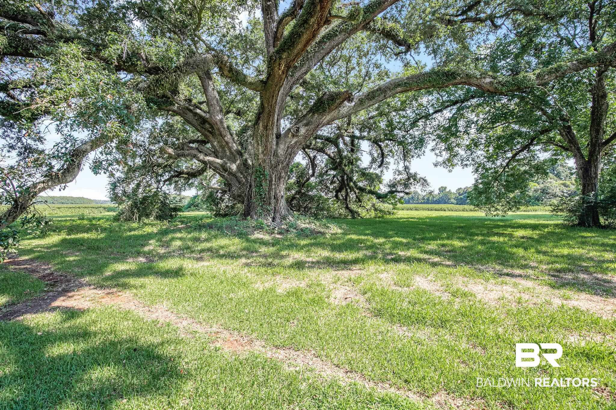 625 Arthur Hall Road