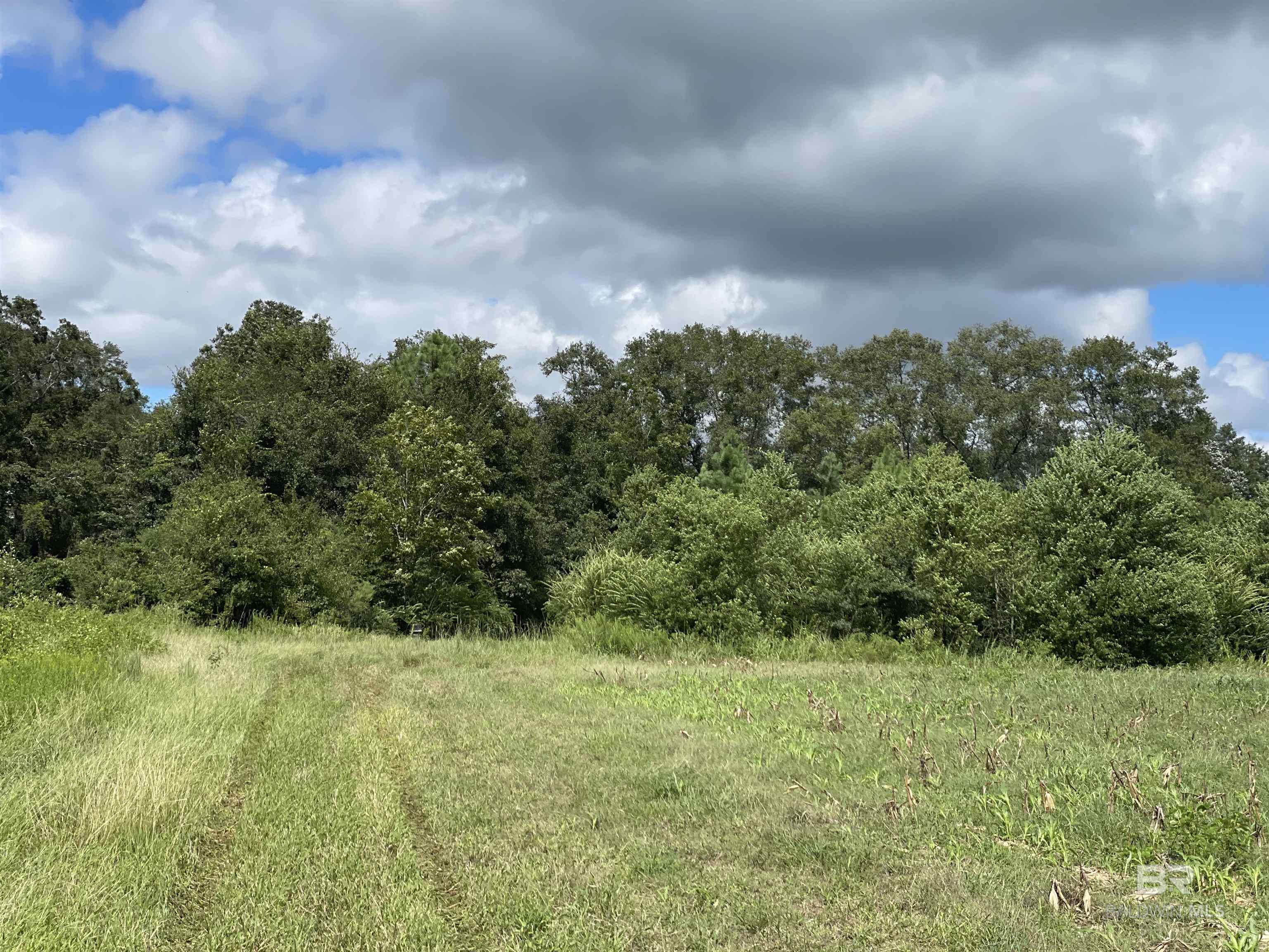 5700 Block Pine Forest Road