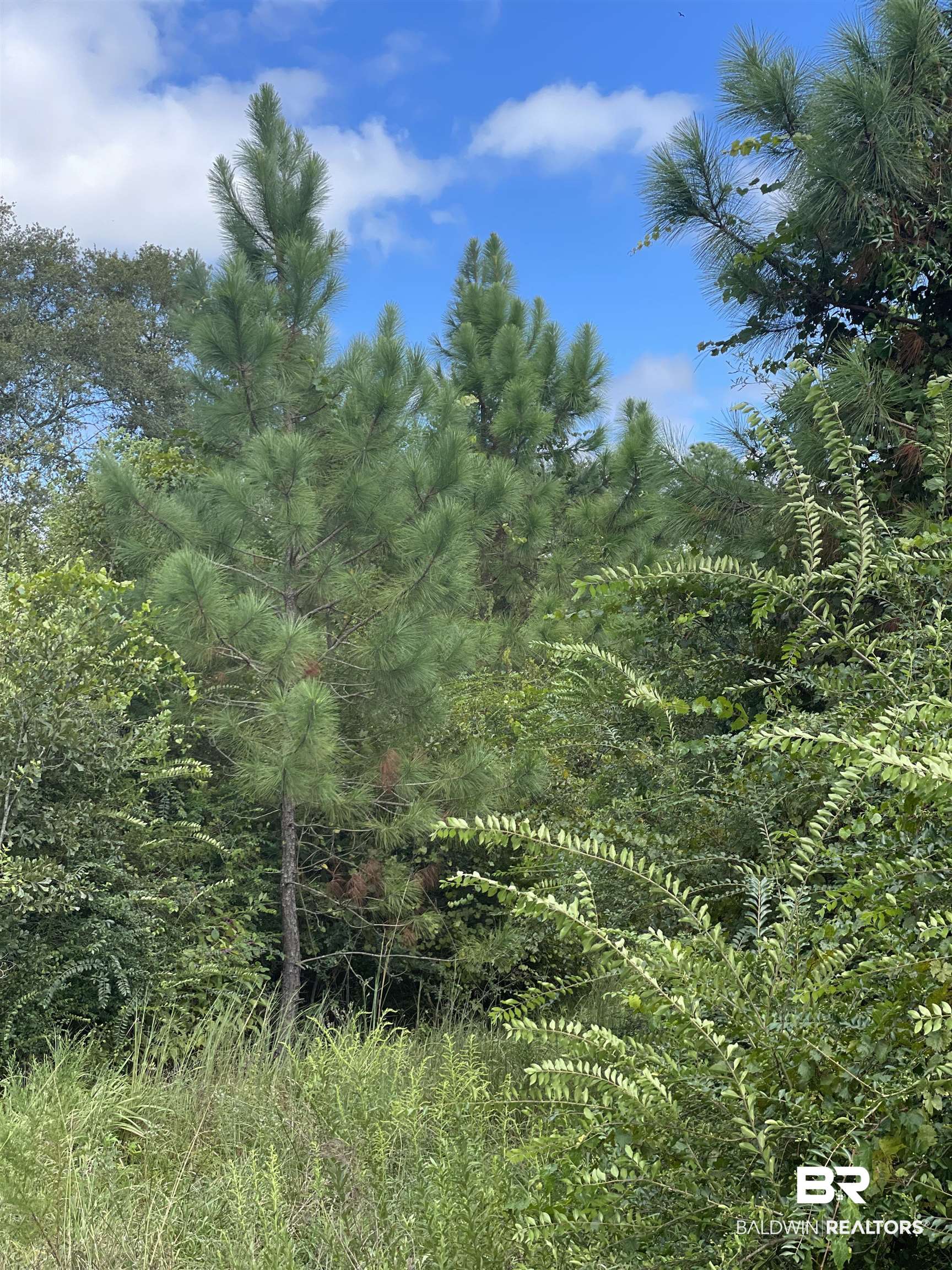 5700 Block Pine Forest Road