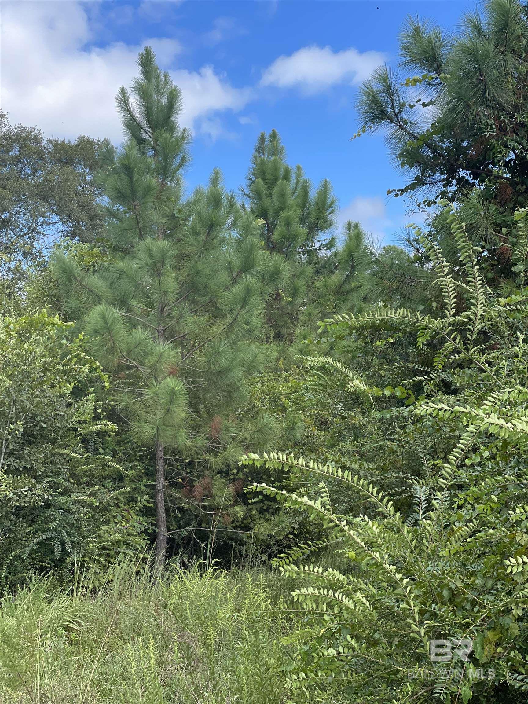 5700 Block Pine Forest Road
