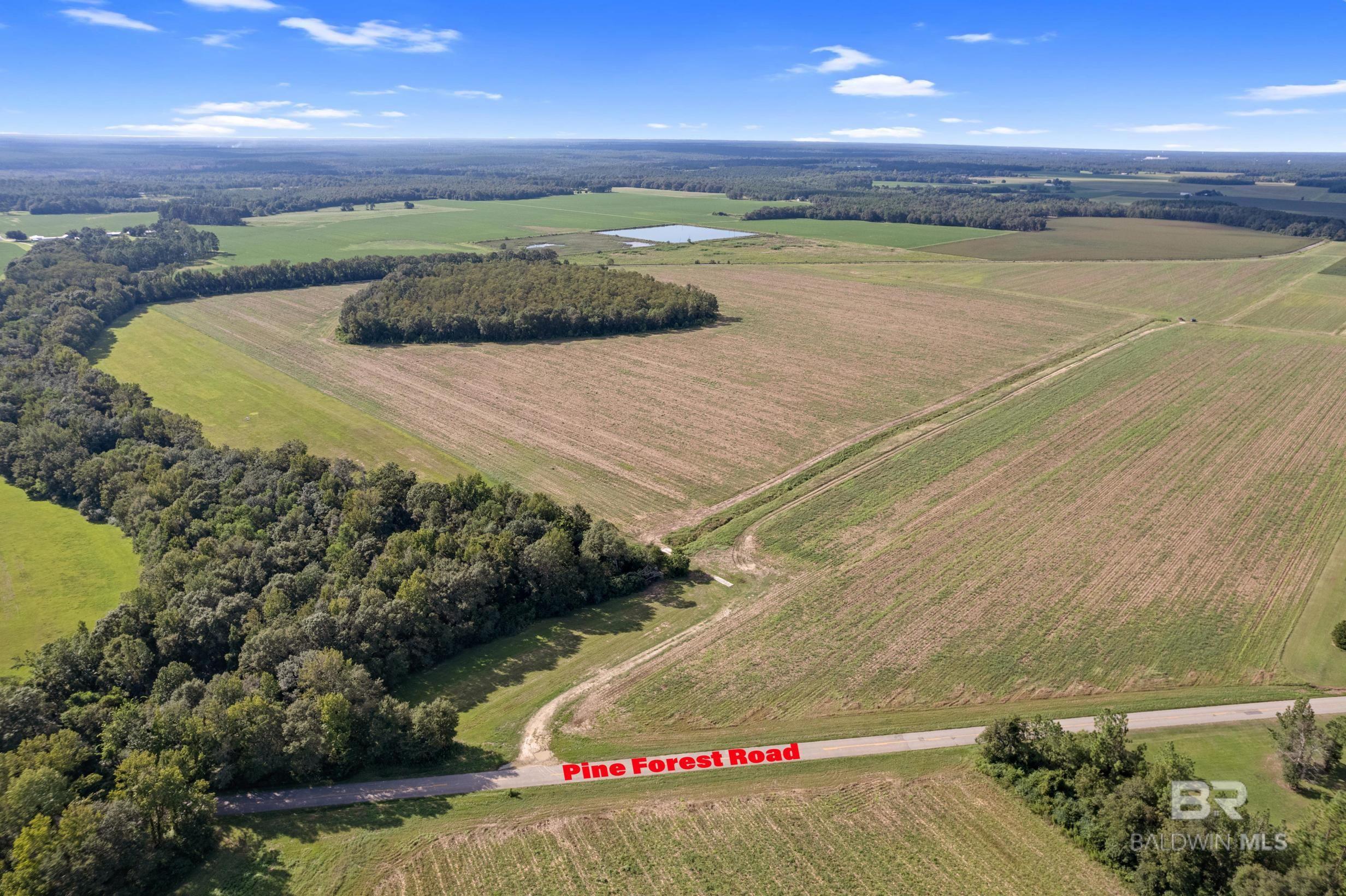5700 Block Pine Forest Road