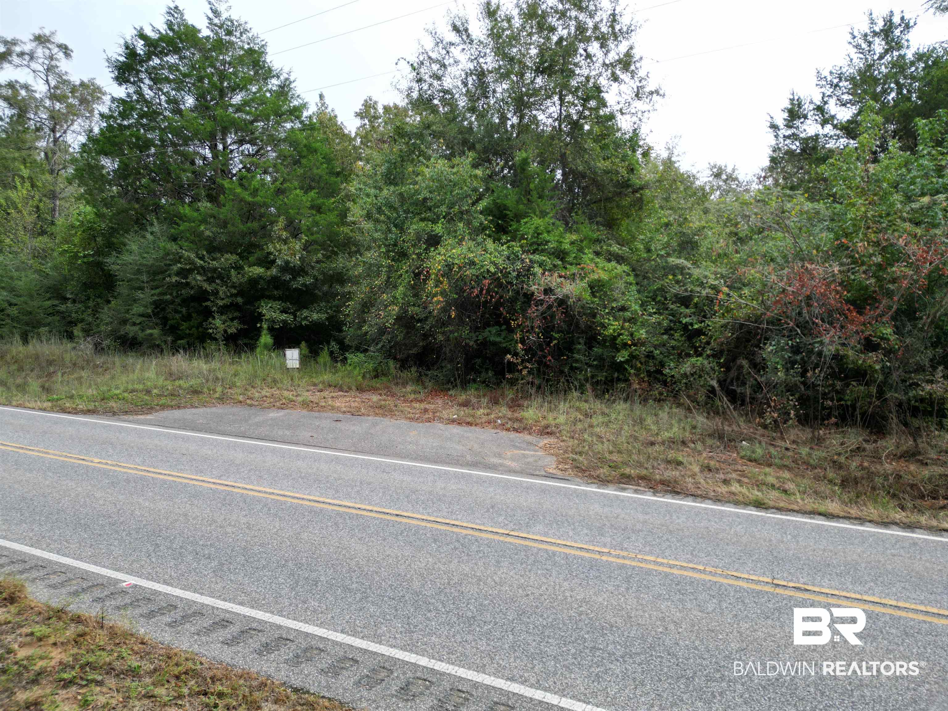 17606 Highway 41