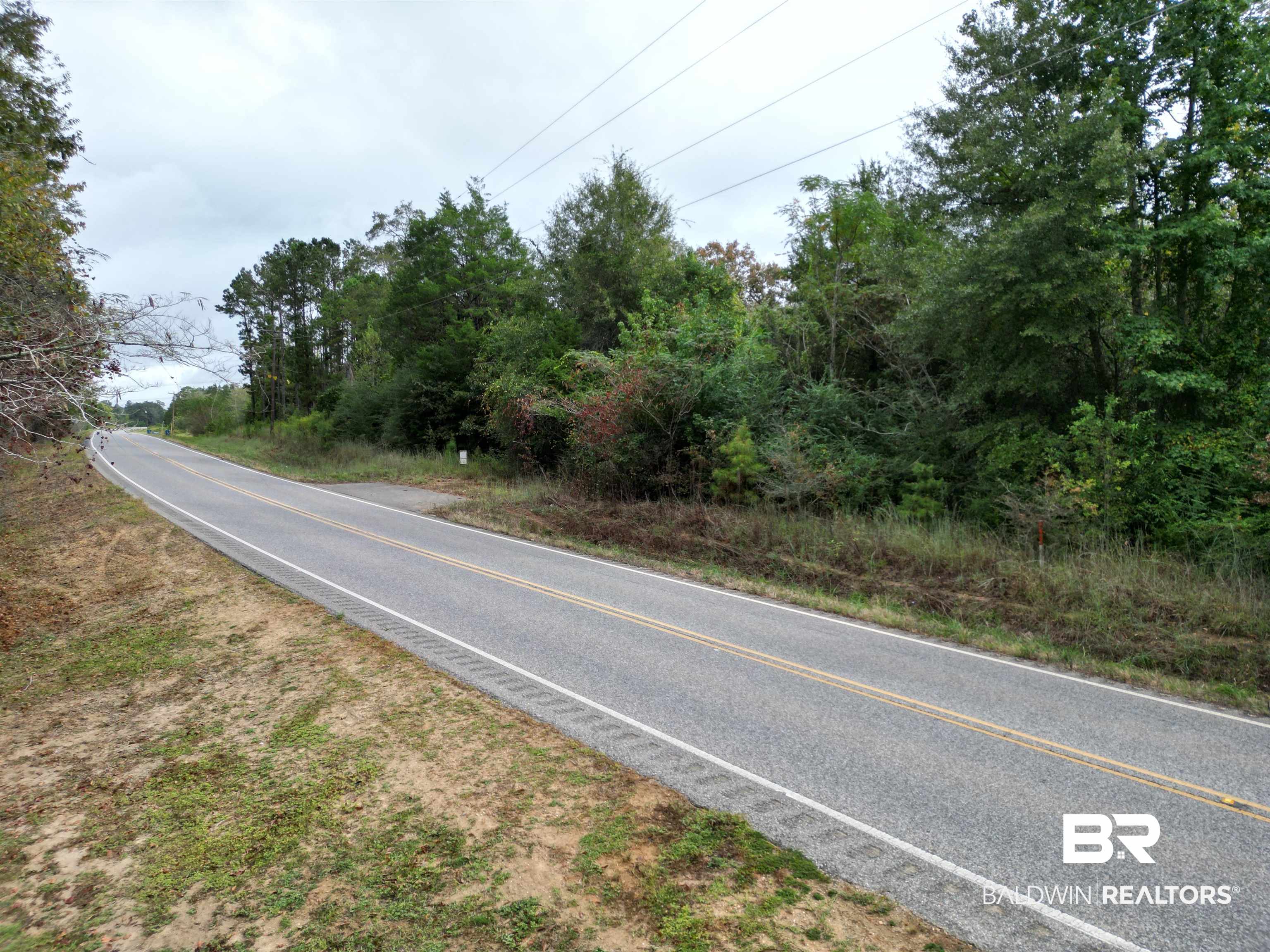 17606 Highway 41