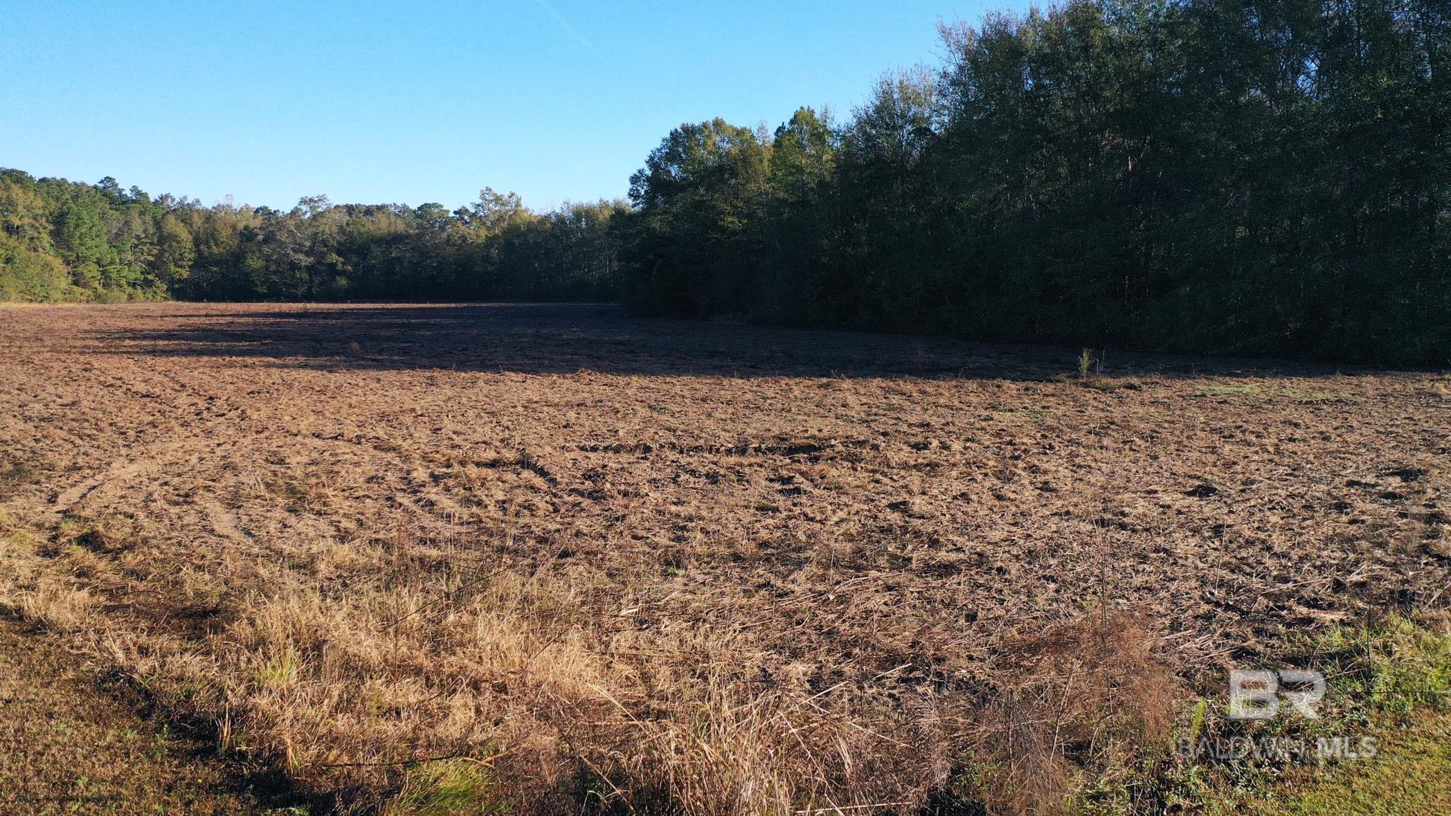 Lot 1 Freemanville Drive