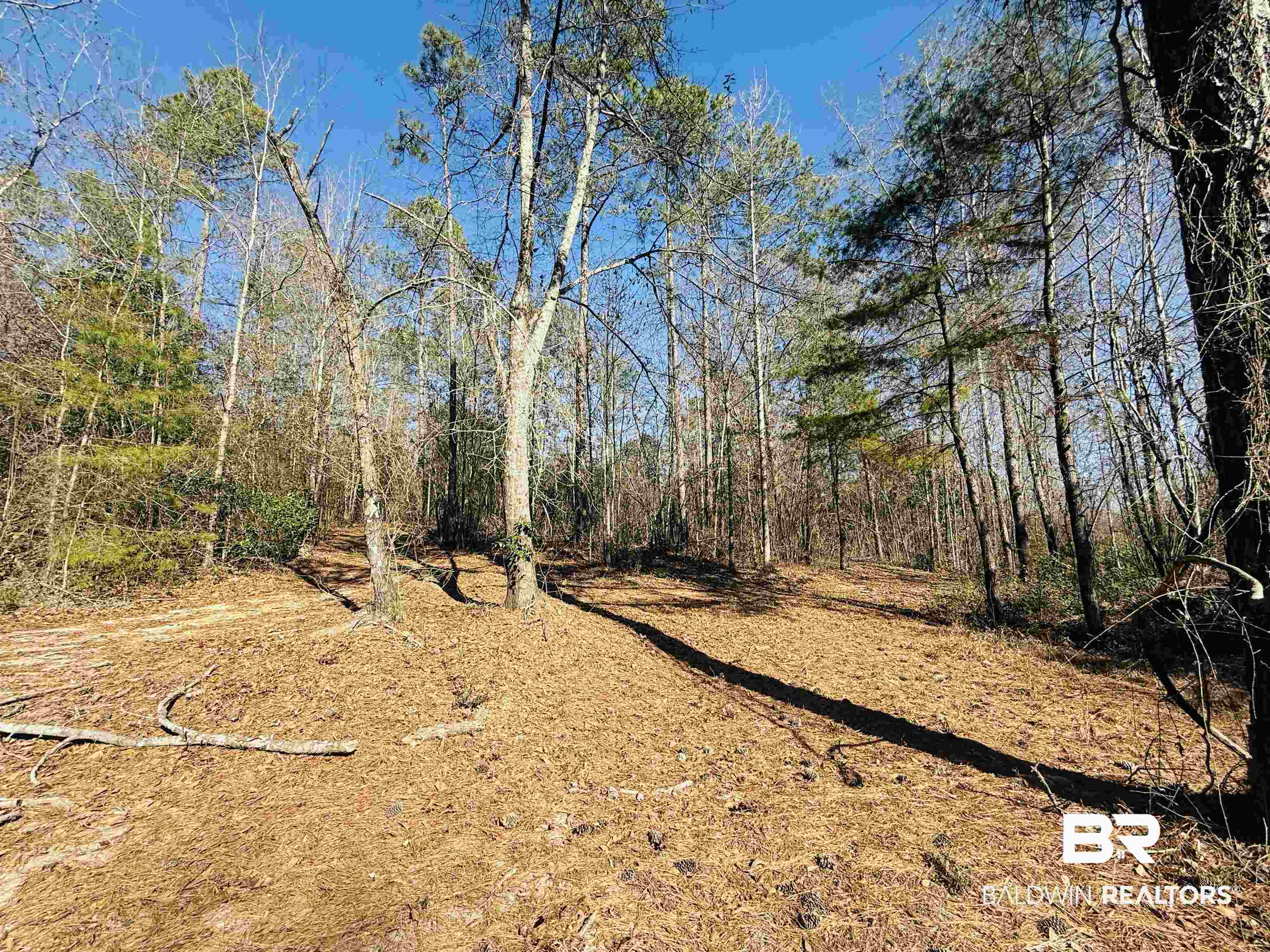 01 Cowpen Creek Road