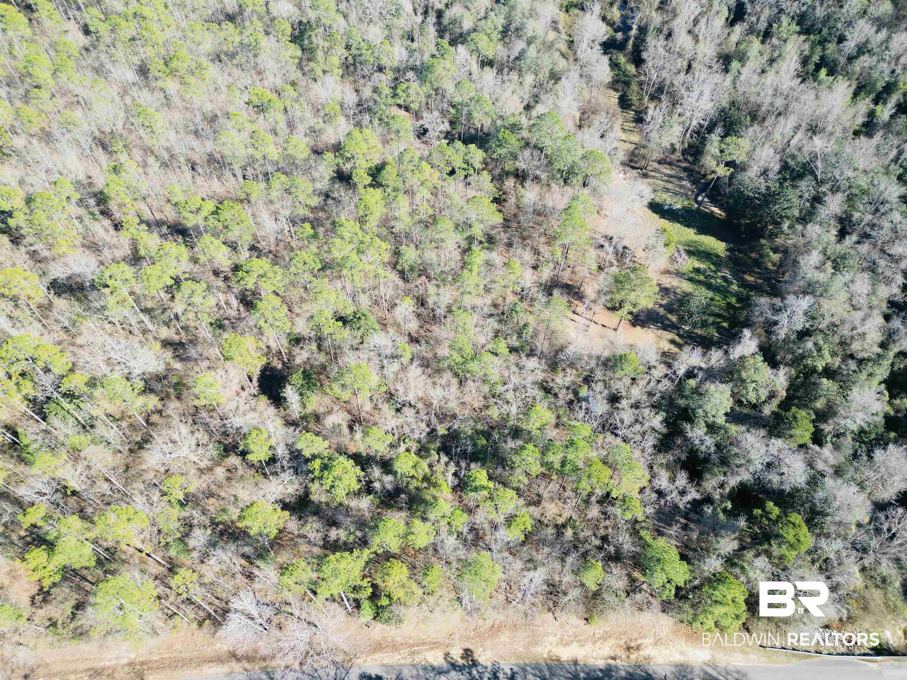 01 Cowpen Creek Road