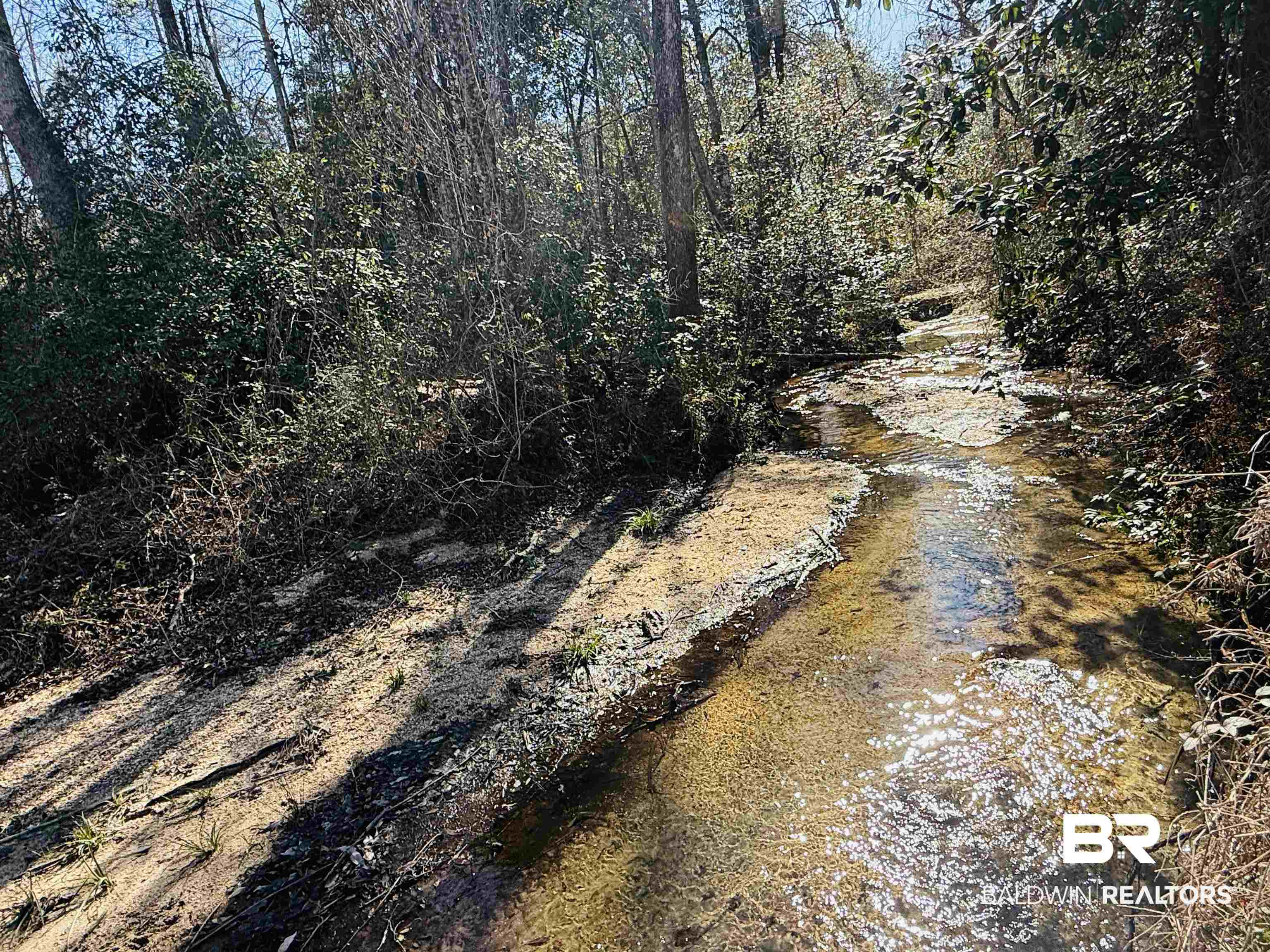 01 Cowpen Creek Road